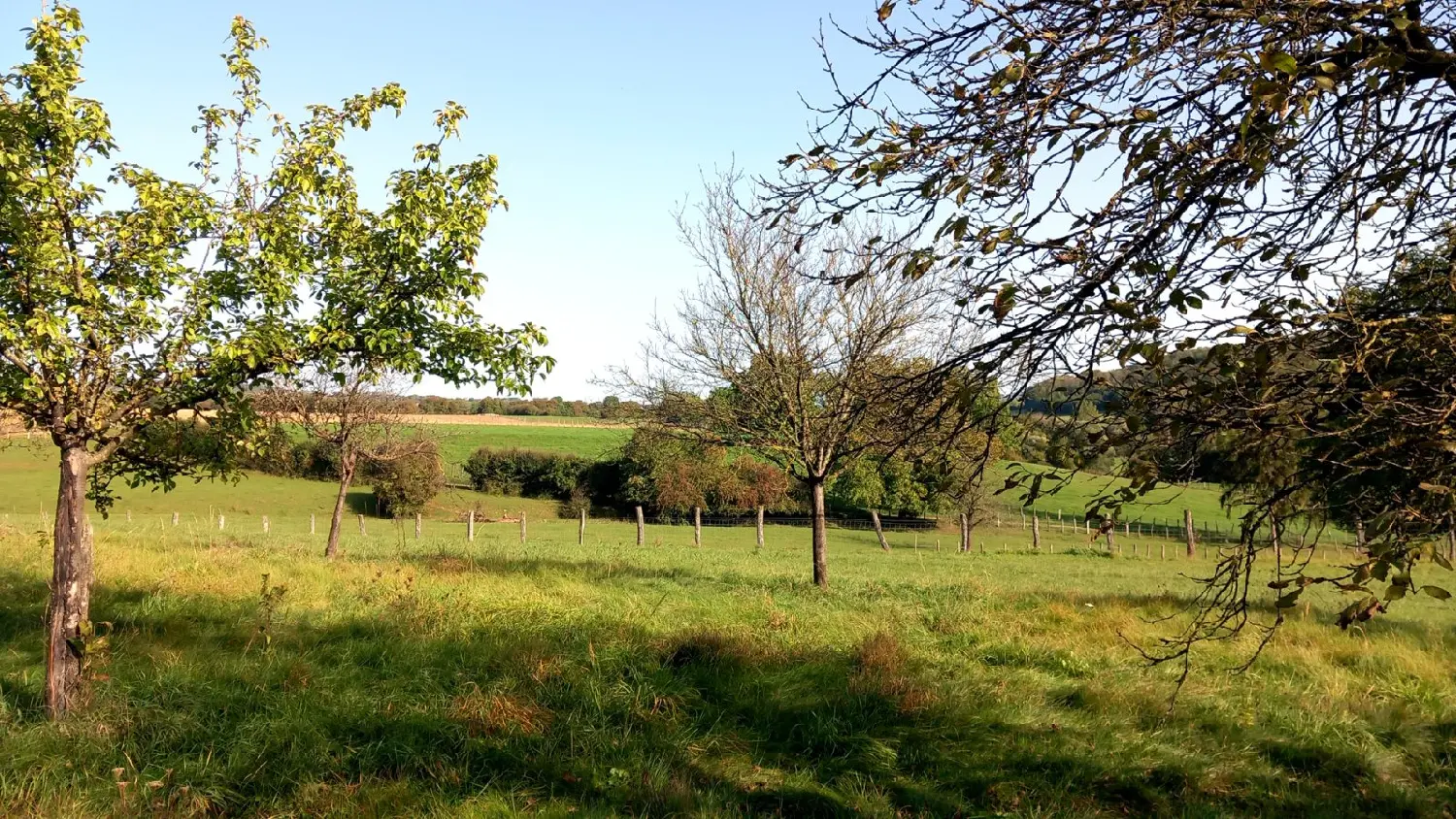  for sale house Parnot Haute-Marne 2