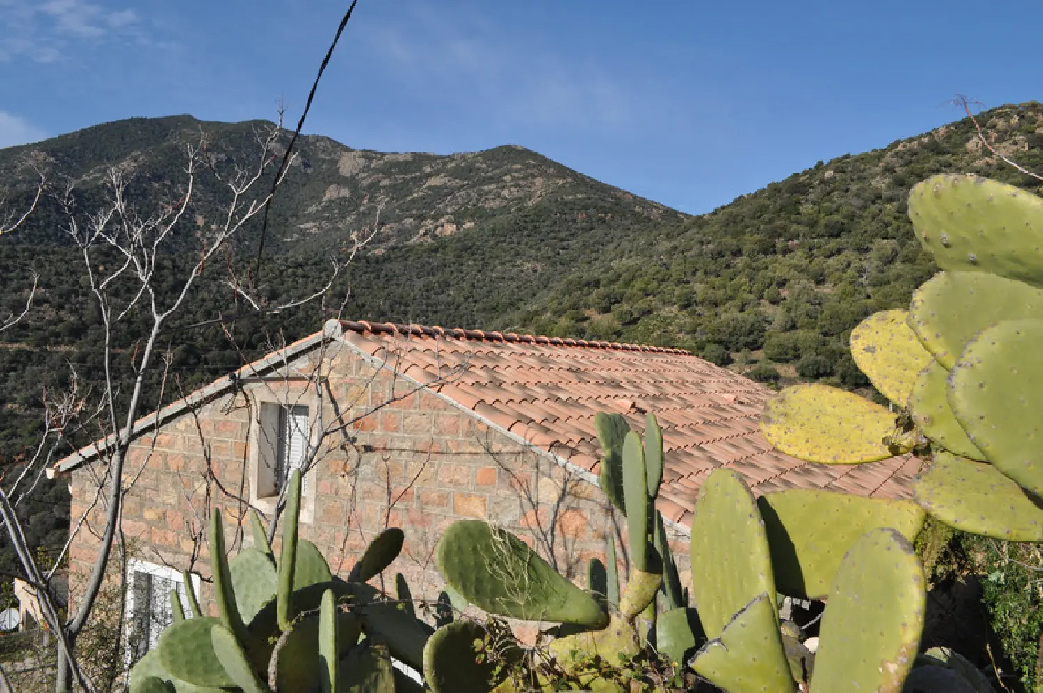  à vendre maison Partinello Corse-du-Sud 7