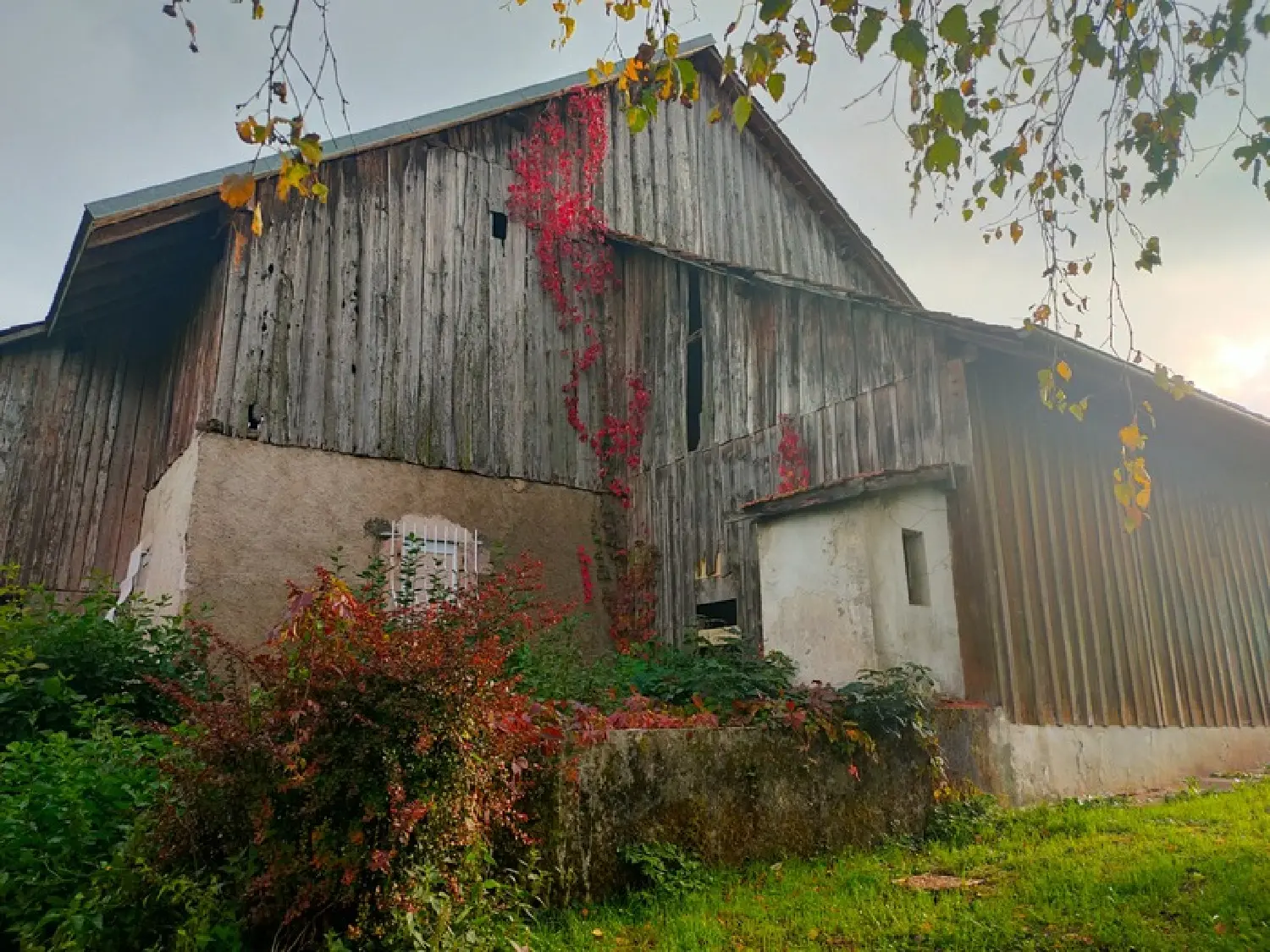  te koop huis Peillonnex Haute-Savoie 6