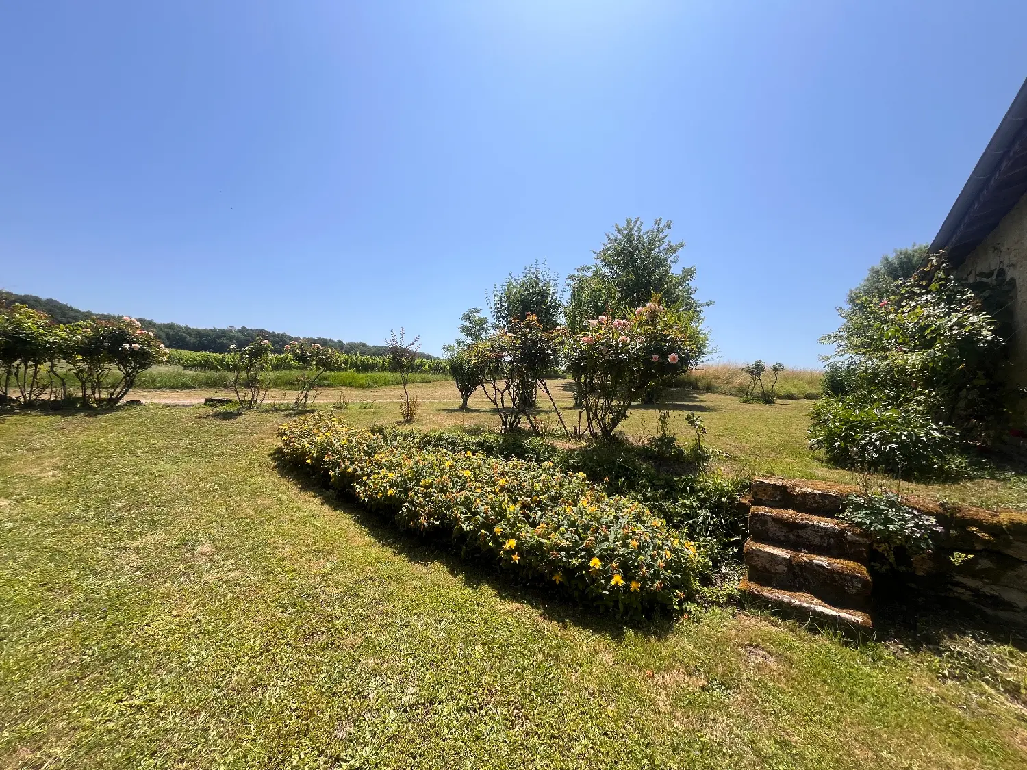  à vendre maison Pellegrue Gironde 8