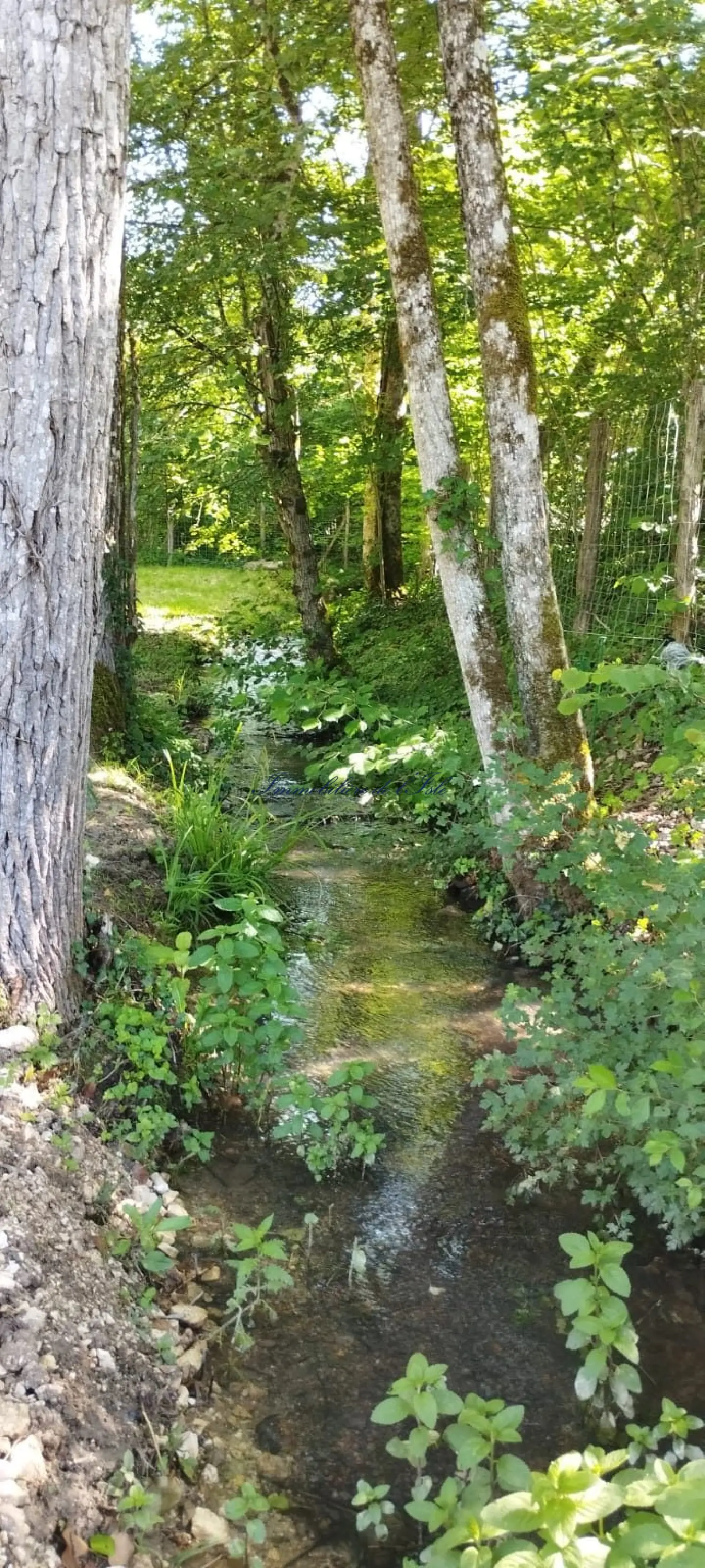  à vendre maison Périgueux Dordogne 5