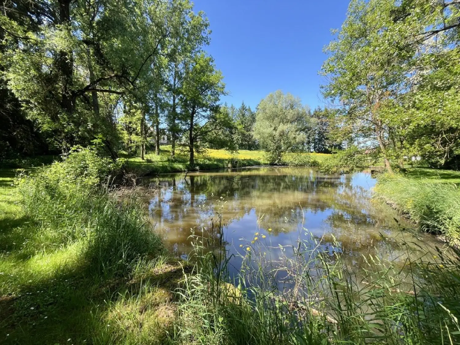 te koop huis Perrecy-les-Forges Saône-et-Loire 1