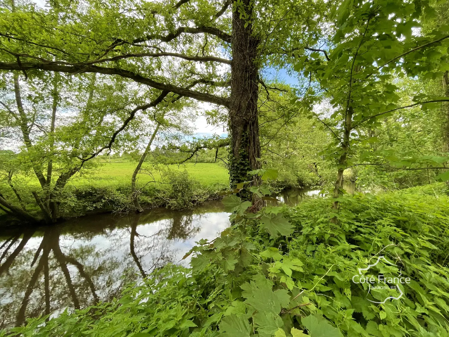  te koop huis Peyrat-de-Bellac Haute-Vienne 3