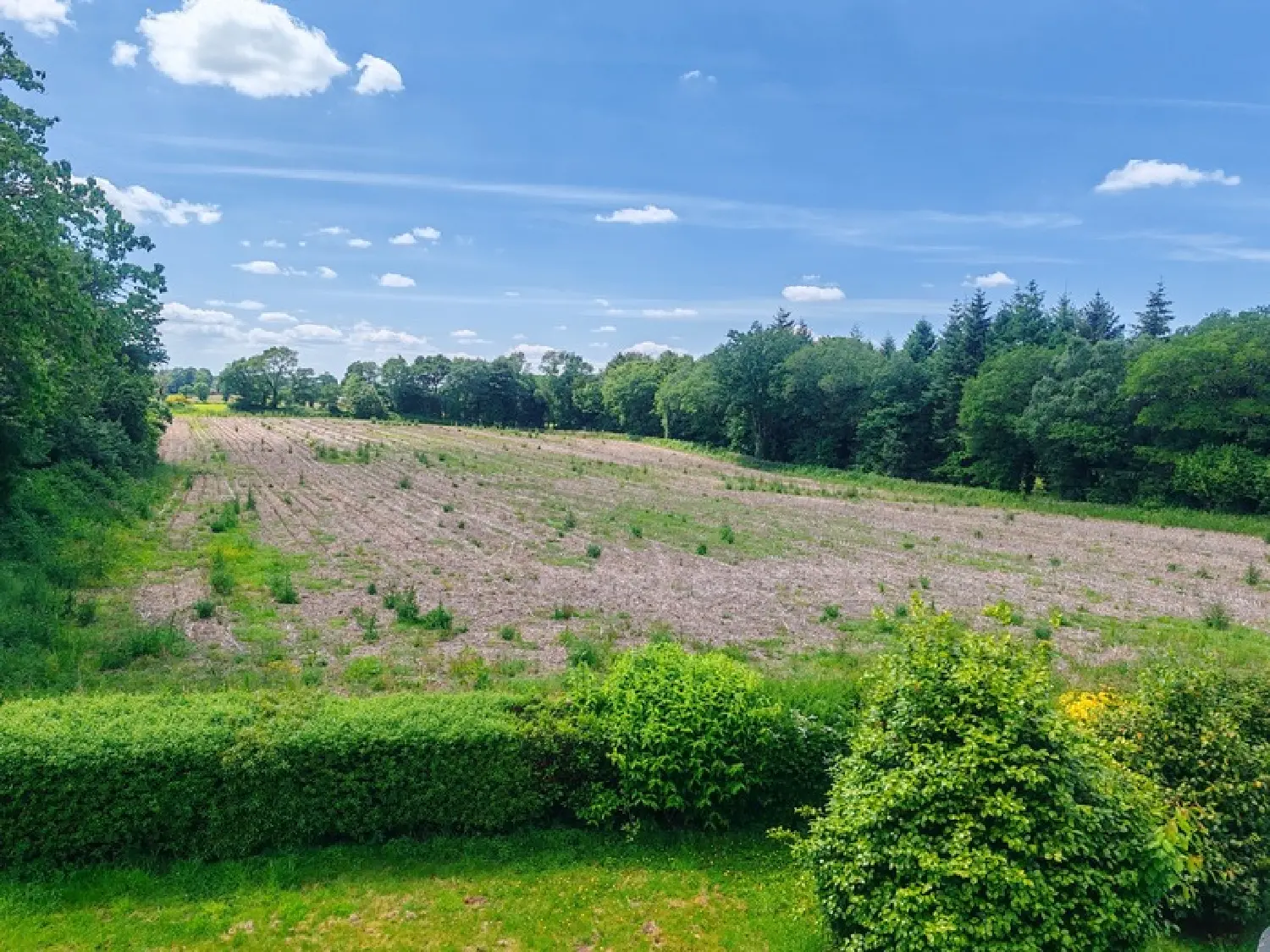  te koop huis Plouay Morbihan 3