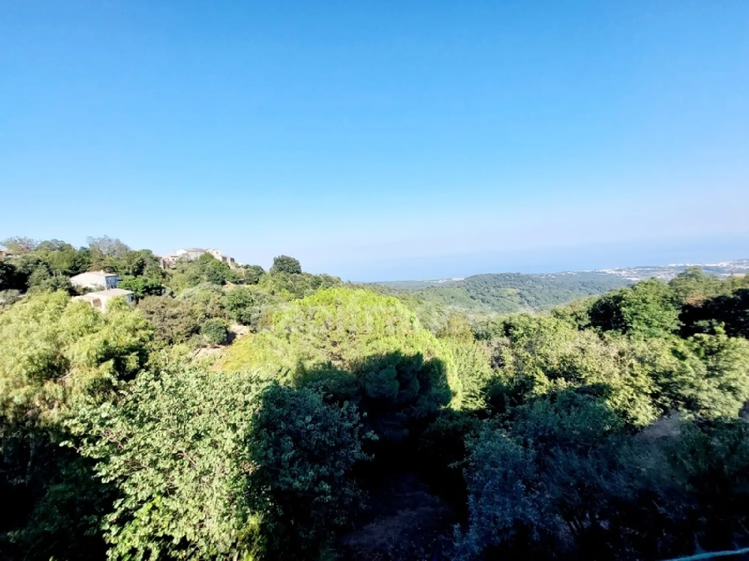  à vendre maison Poggio-Mezzana Haute-Corse 3