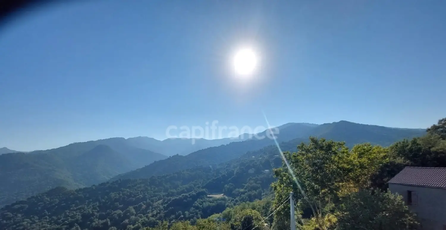  à vendre maison Poggio-Mezzana Haute-Corse 4
