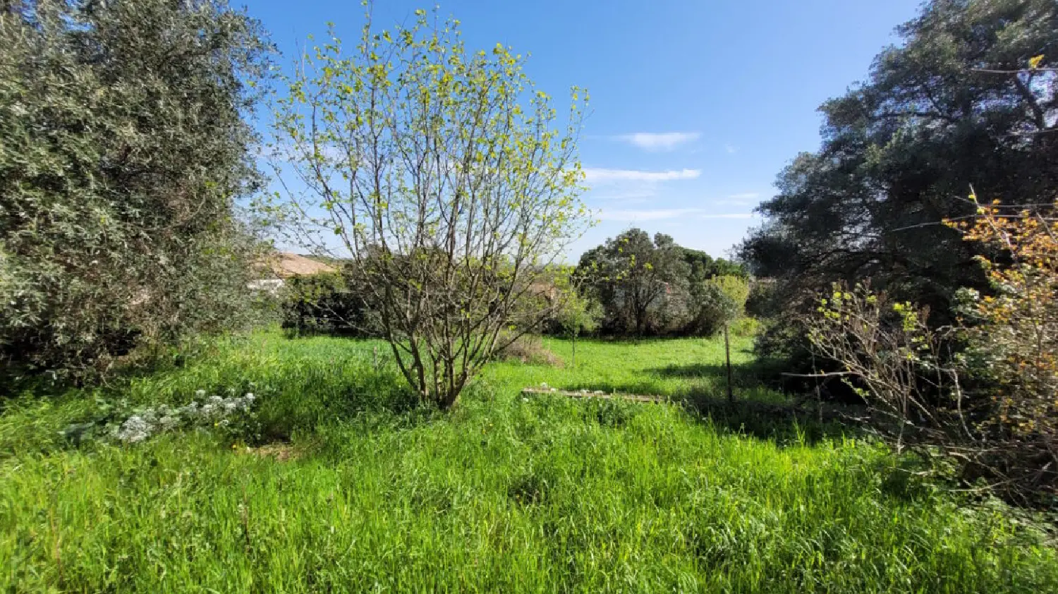  en venta casa Pouzolles Hérault 1