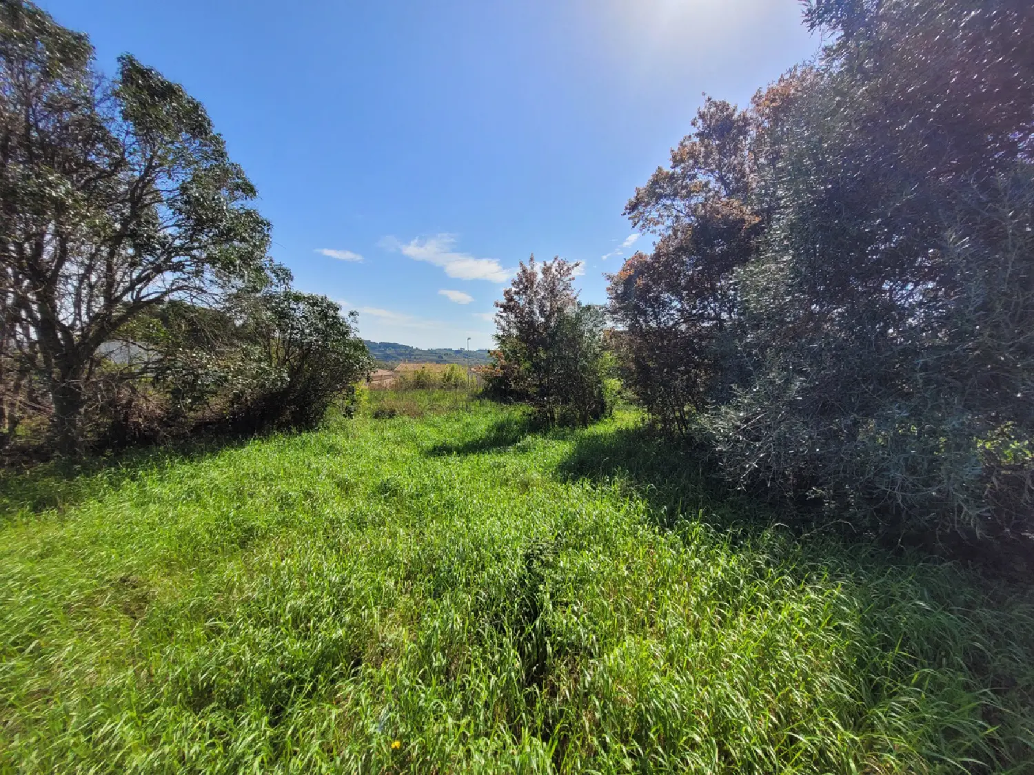  en venta casa Pouzolles Hérault 4