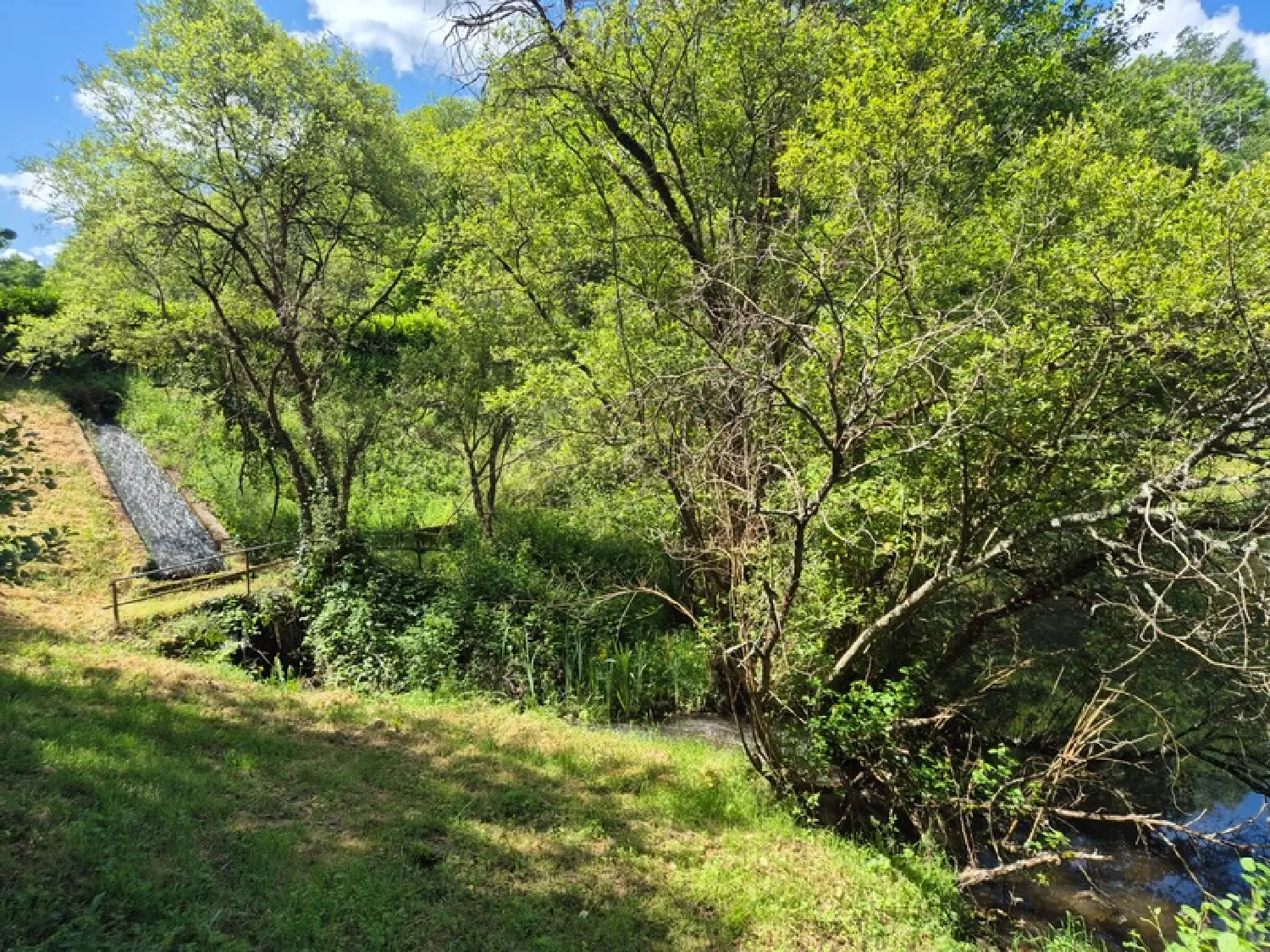  te koop huis Pressignac Charente 3