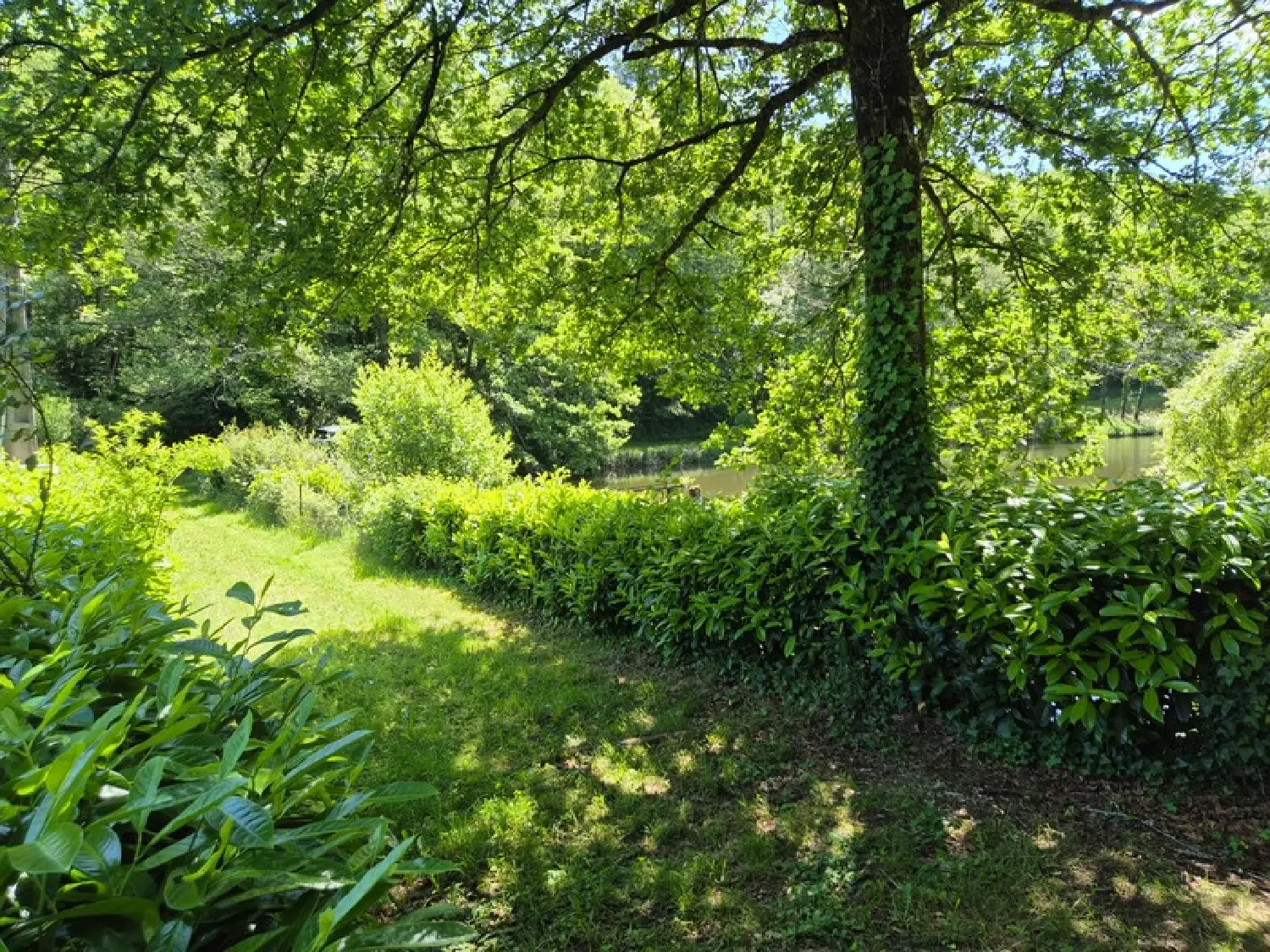  te koop huis Pressignac Charente 4