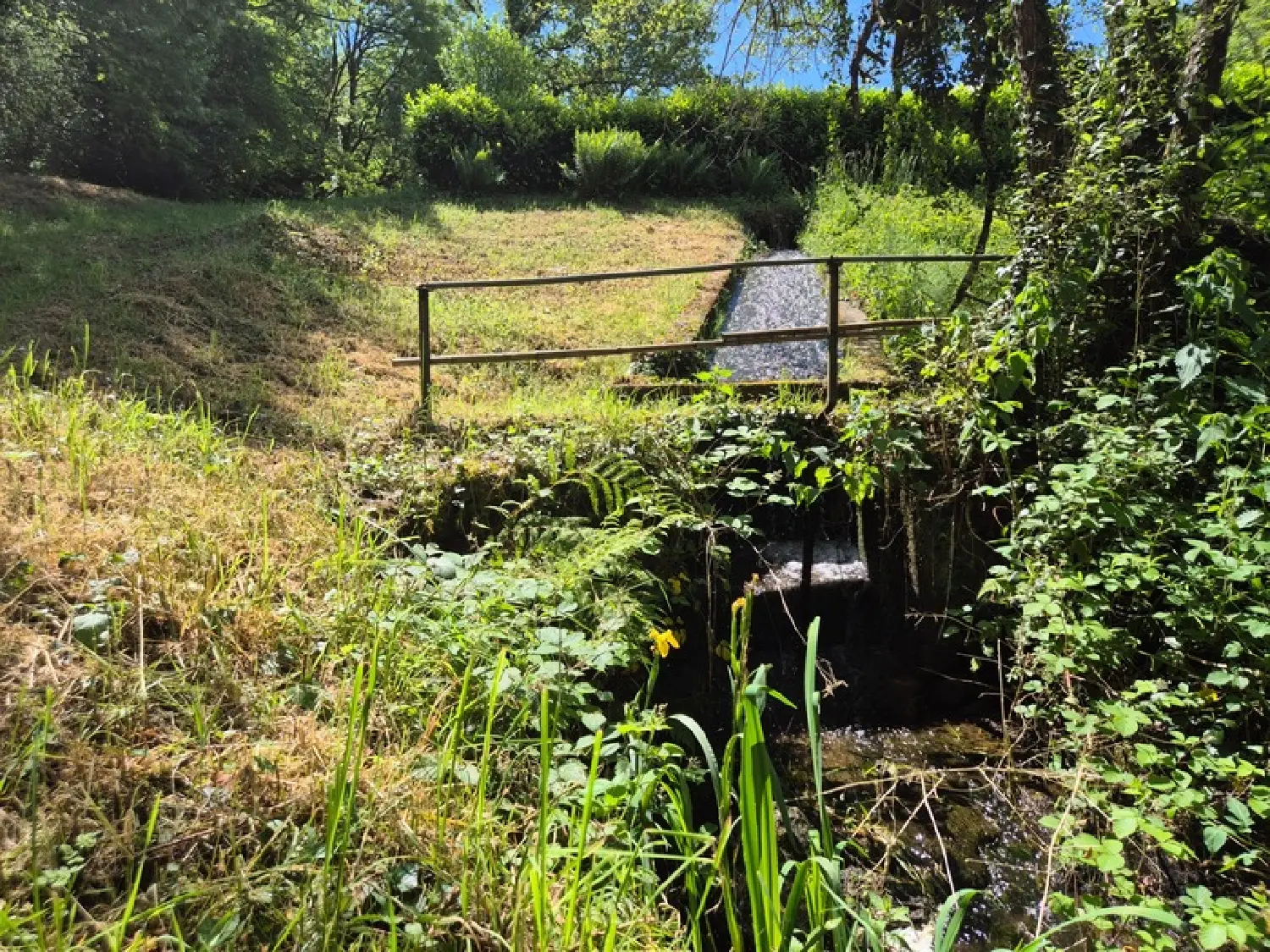  te koop huis Pressignac Charente 5