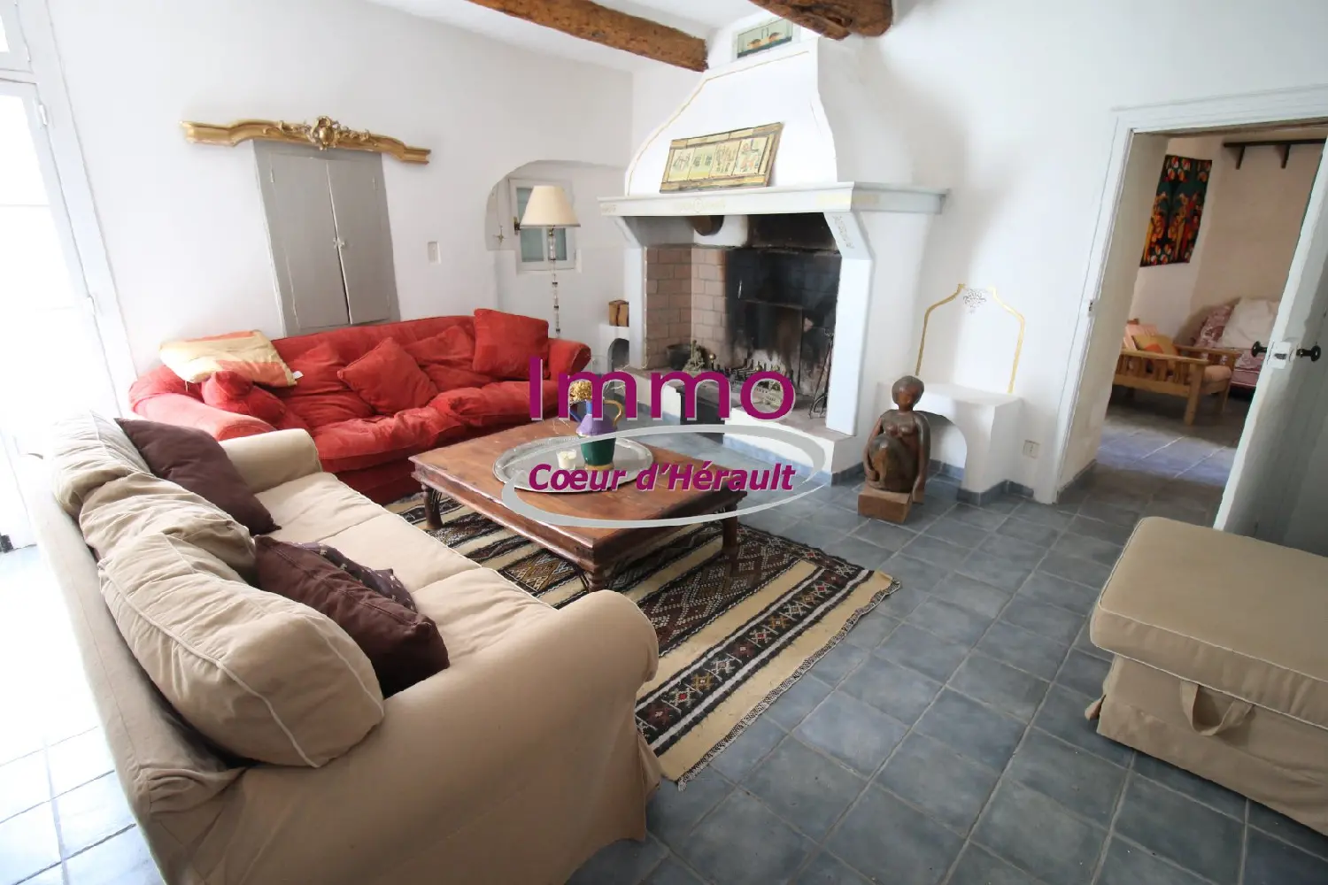  à vendre maison Puéchabon Hérault 2