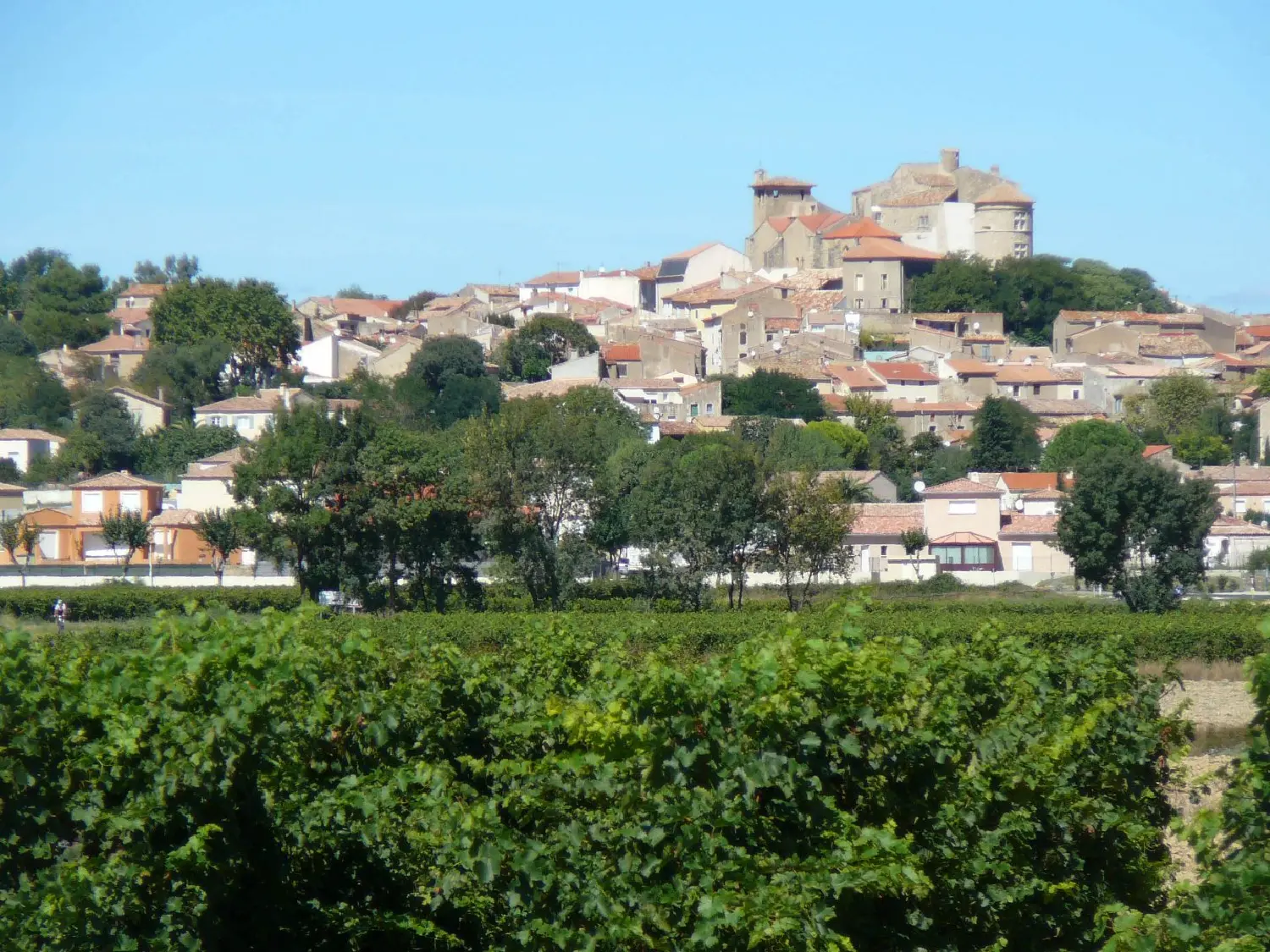  à vendre maison Puissalicon Hérault 8