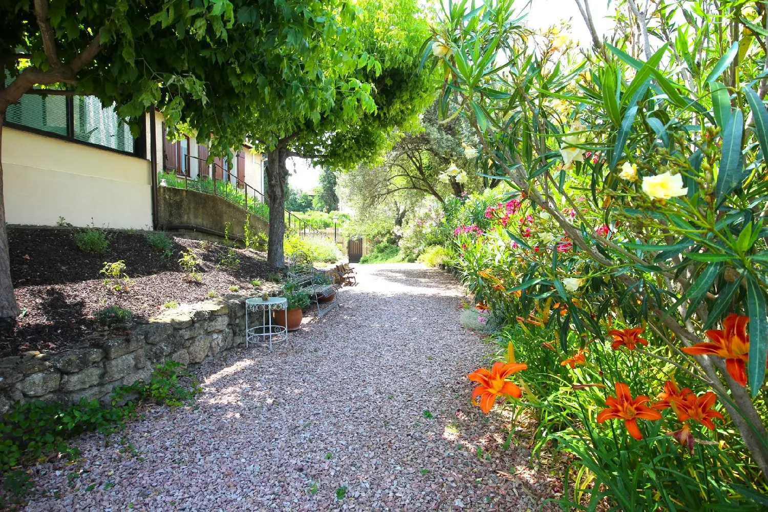  à vendre maison Puissalicon Hérault 3