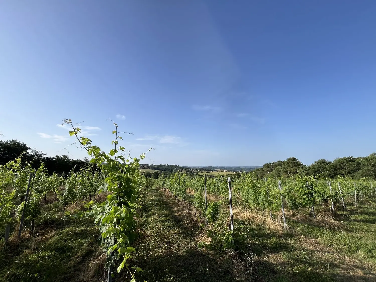  à vendre maison Puy-d'Arnac Corrèze 1