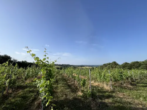 Puy-d'Arnac Corrèze maison foto 7098398