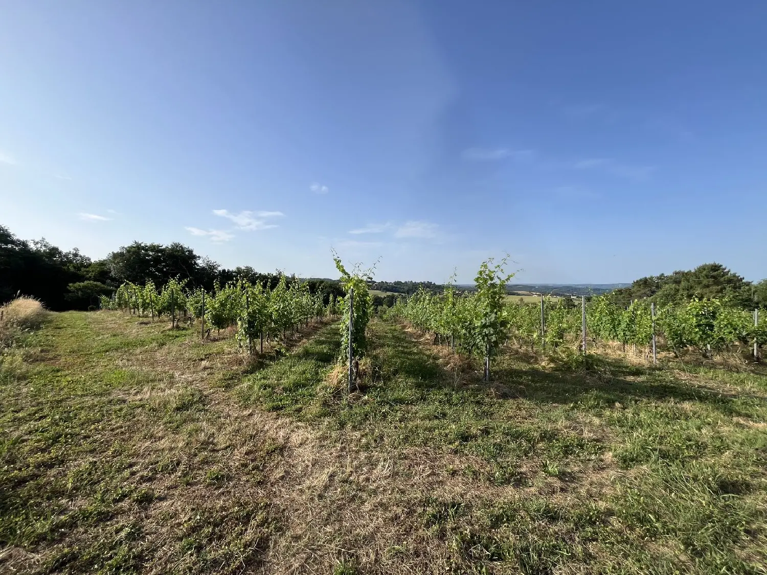  à vendre maison Puy-d'Arnac Corrèze 2