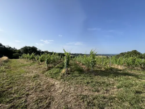  for sale house Puy-d'Arnac Corrèze 2