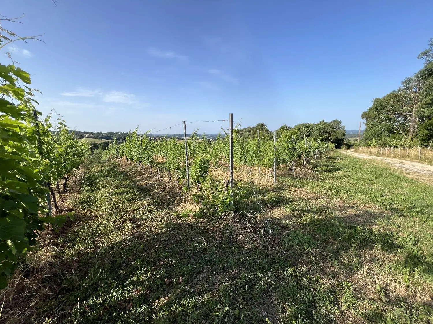  à vendre maison Puy-d'Arnac Corrèze 4