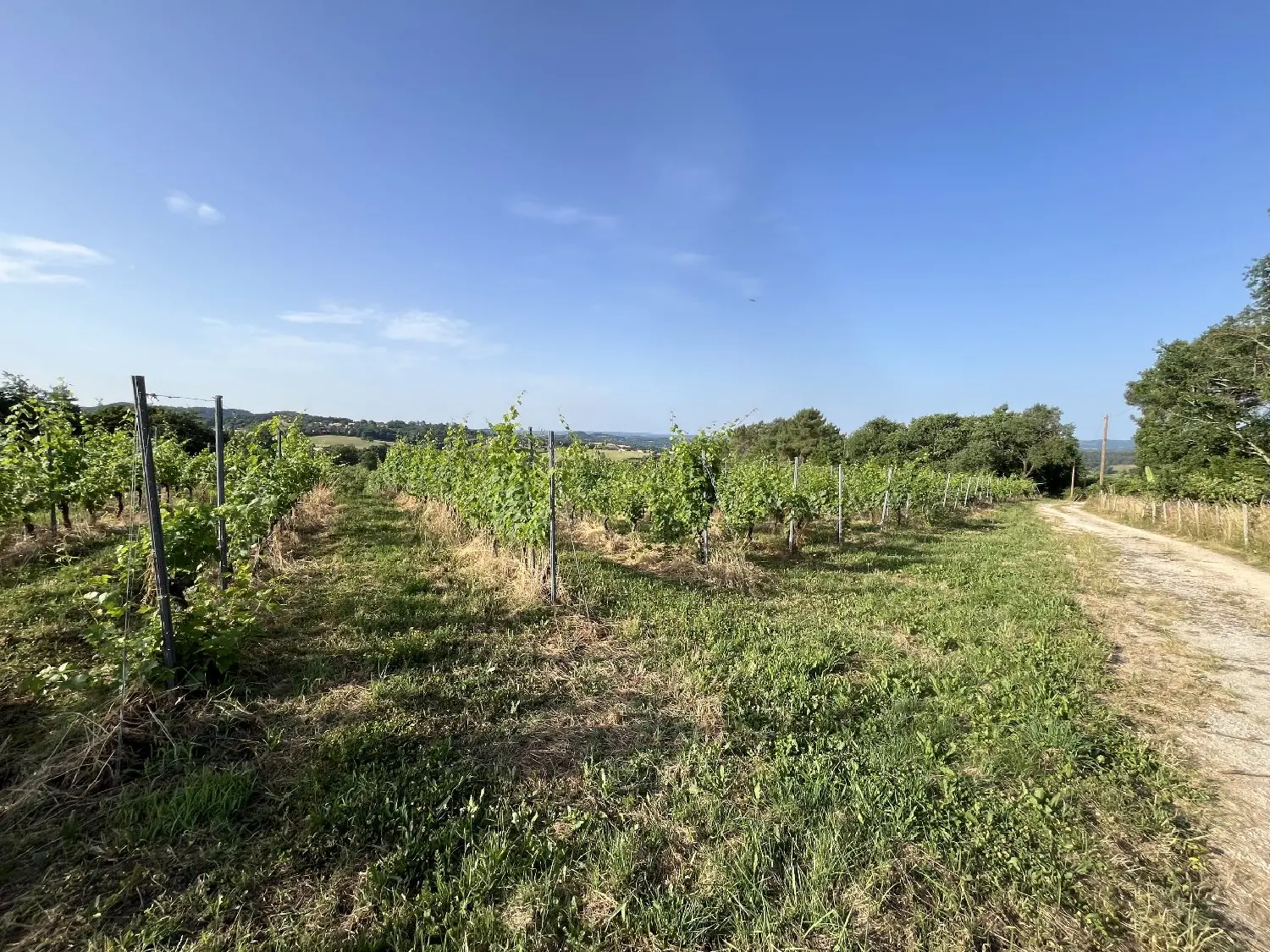  à vendre maison Puy-d'Arnac Corrèze 5