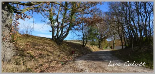 Puylaurens Tarn Haus Bild 7087738