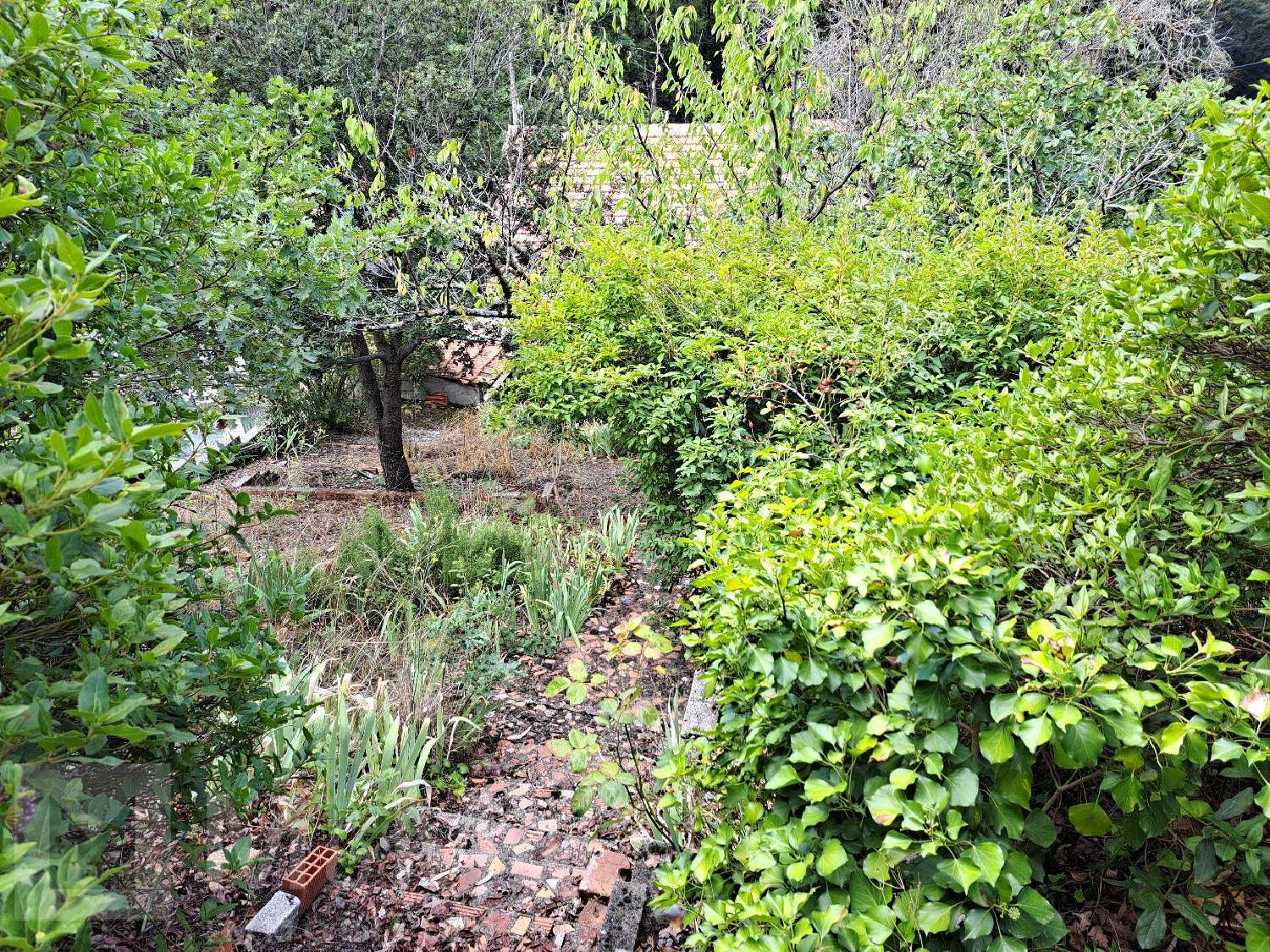  en venta casa Quillan Aude 6