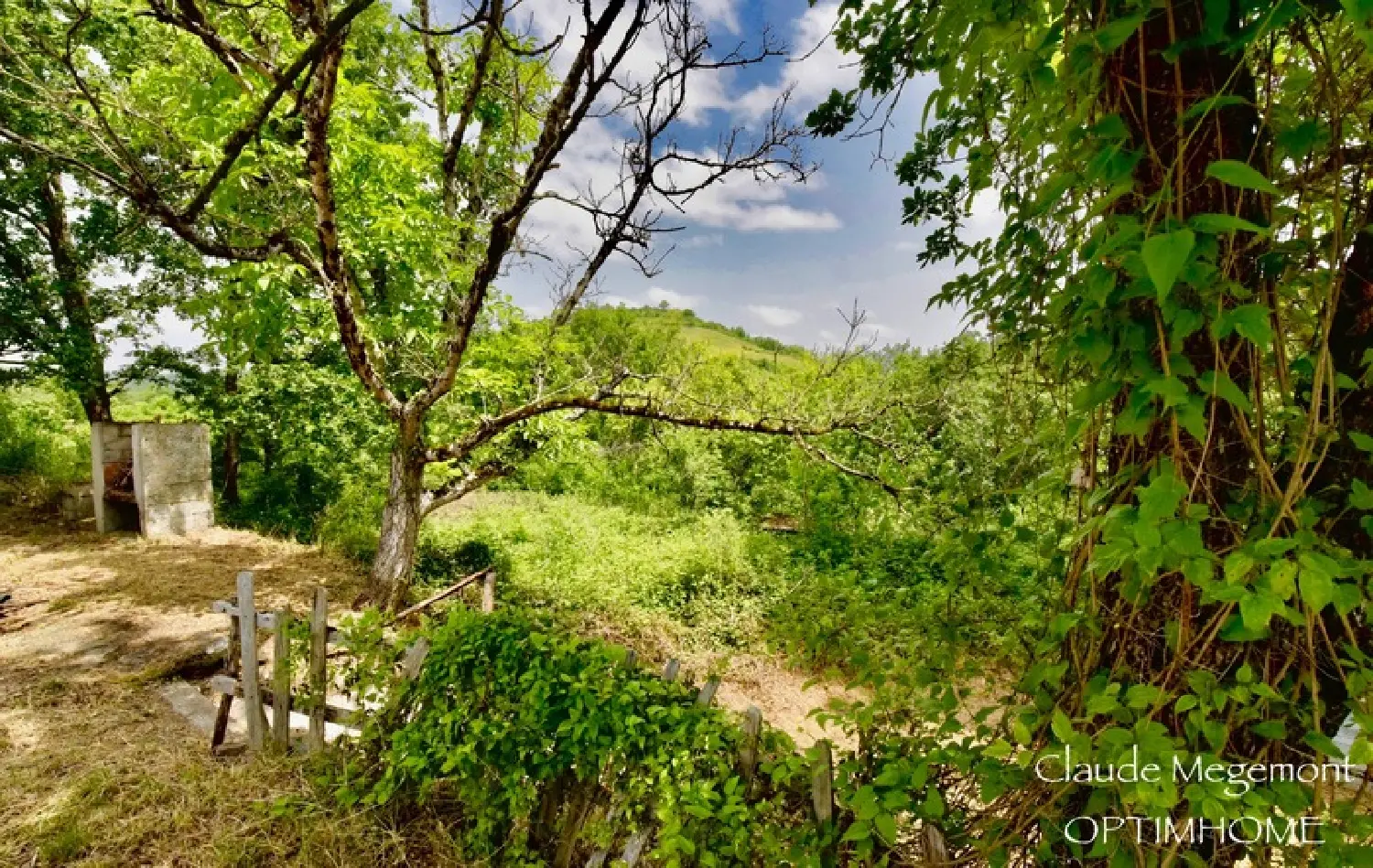  à vendre maison Réalmont Tarn 5