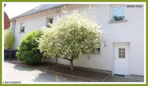 Reyersviller Moselle Haus Bild 7099344