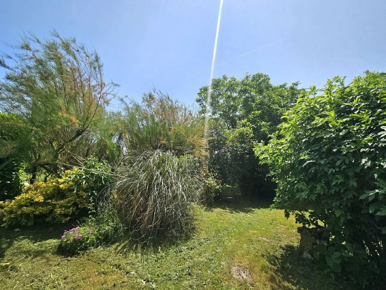 en venta casa Rieupeyroux Aveyron 2