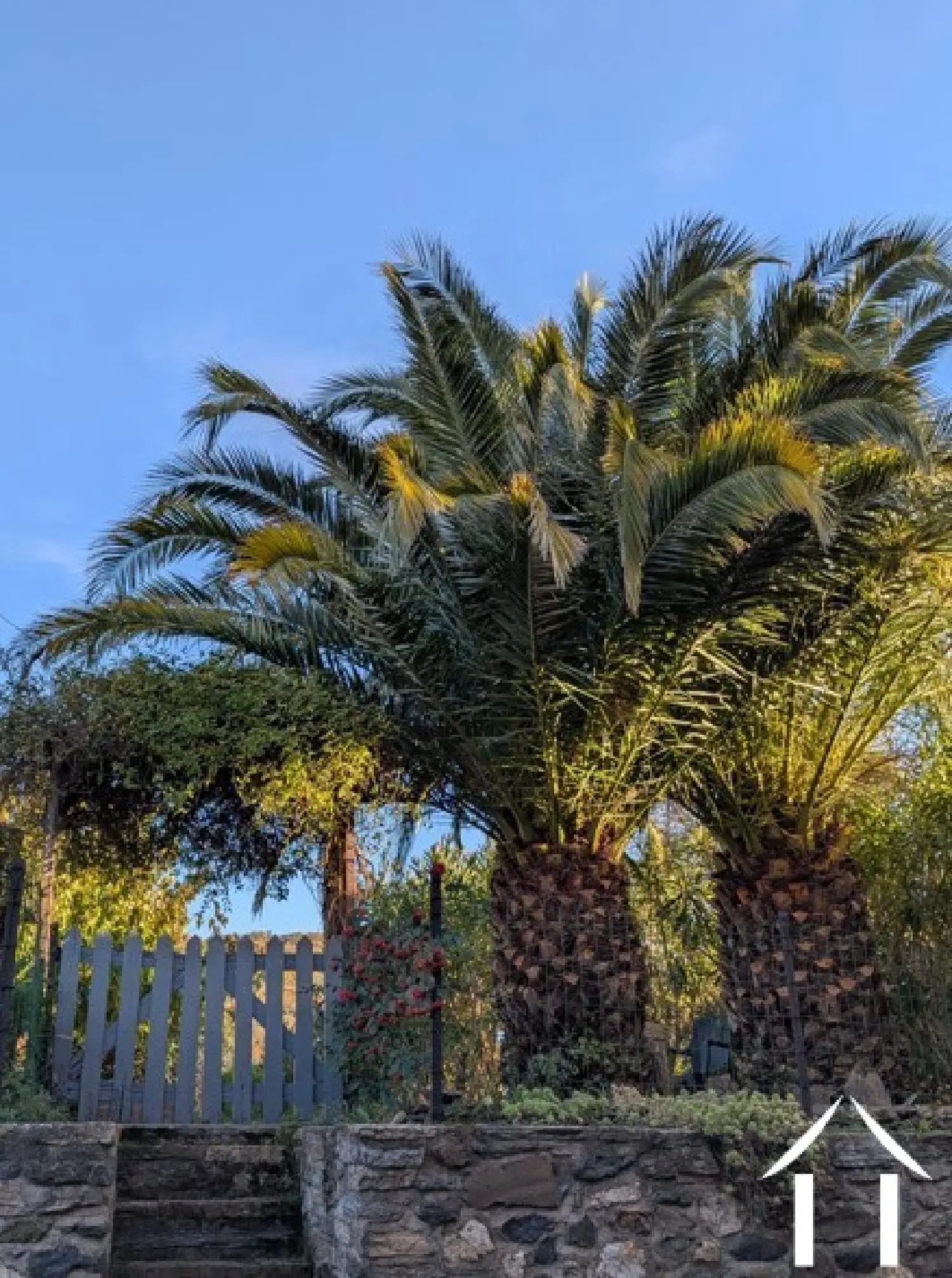  à vendre maison Roquessels Hérault 5