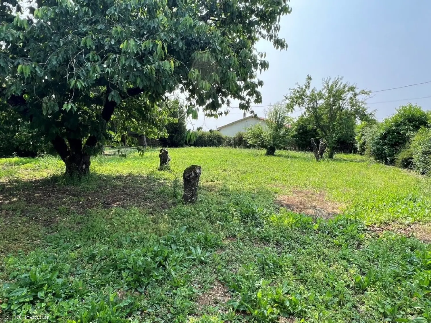  à vendre maison Ruffec Charente 3
