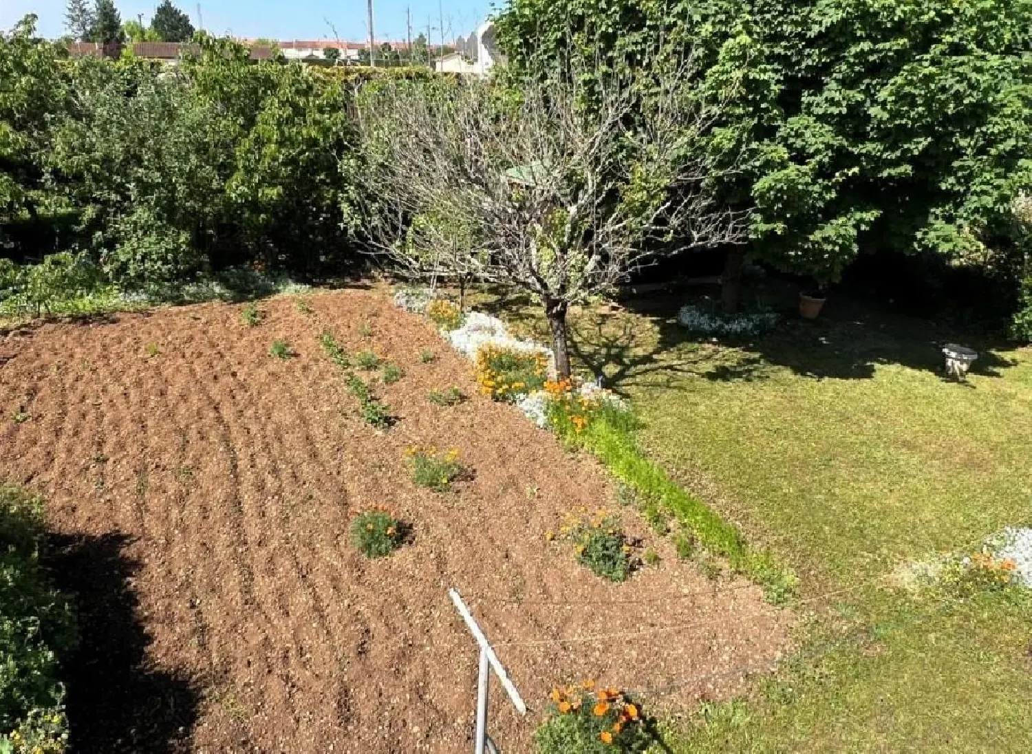  en venta casa Ruffec Charente 4