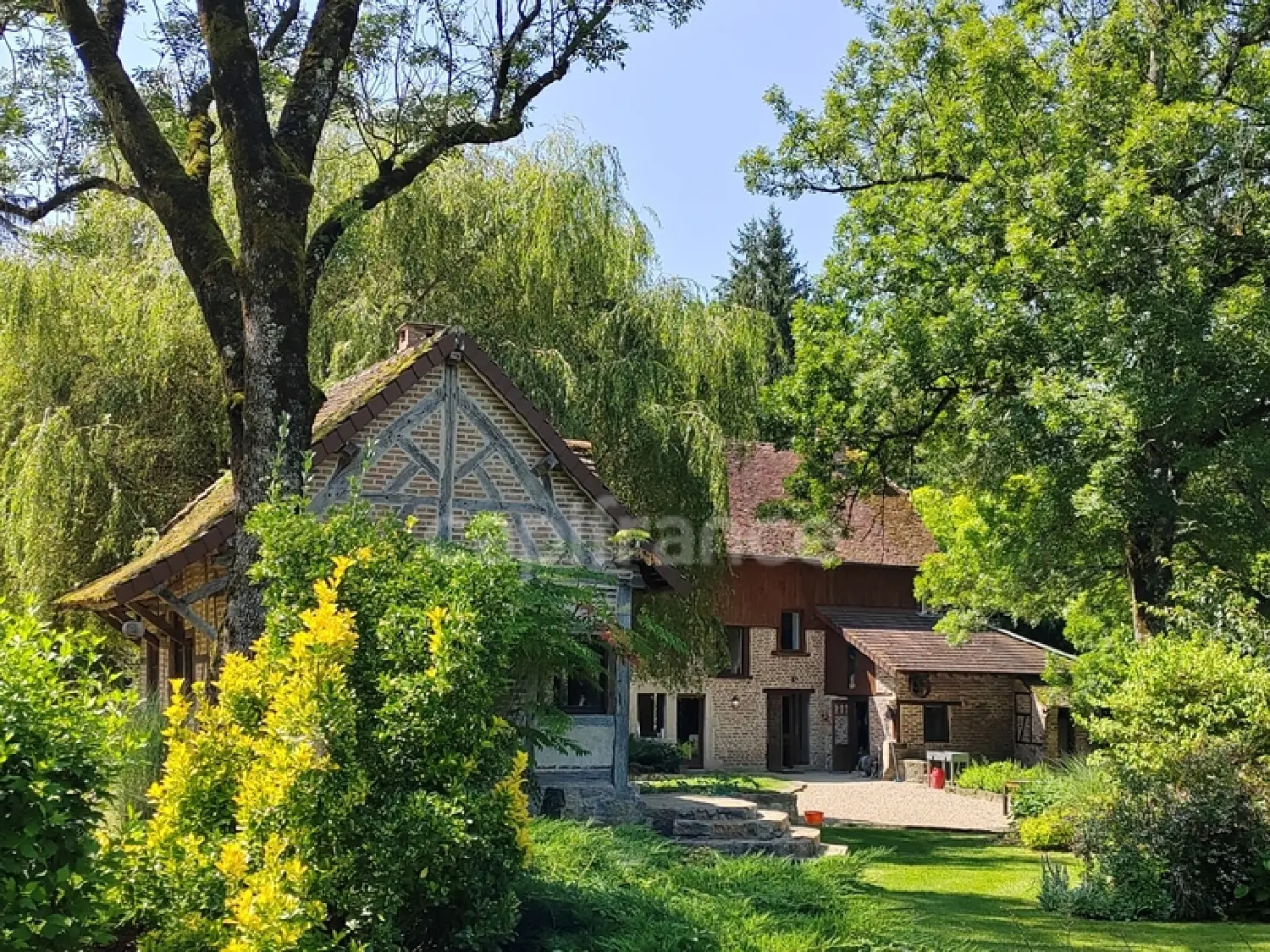  à vendre maison Saillenard Saône-et-Loire 1