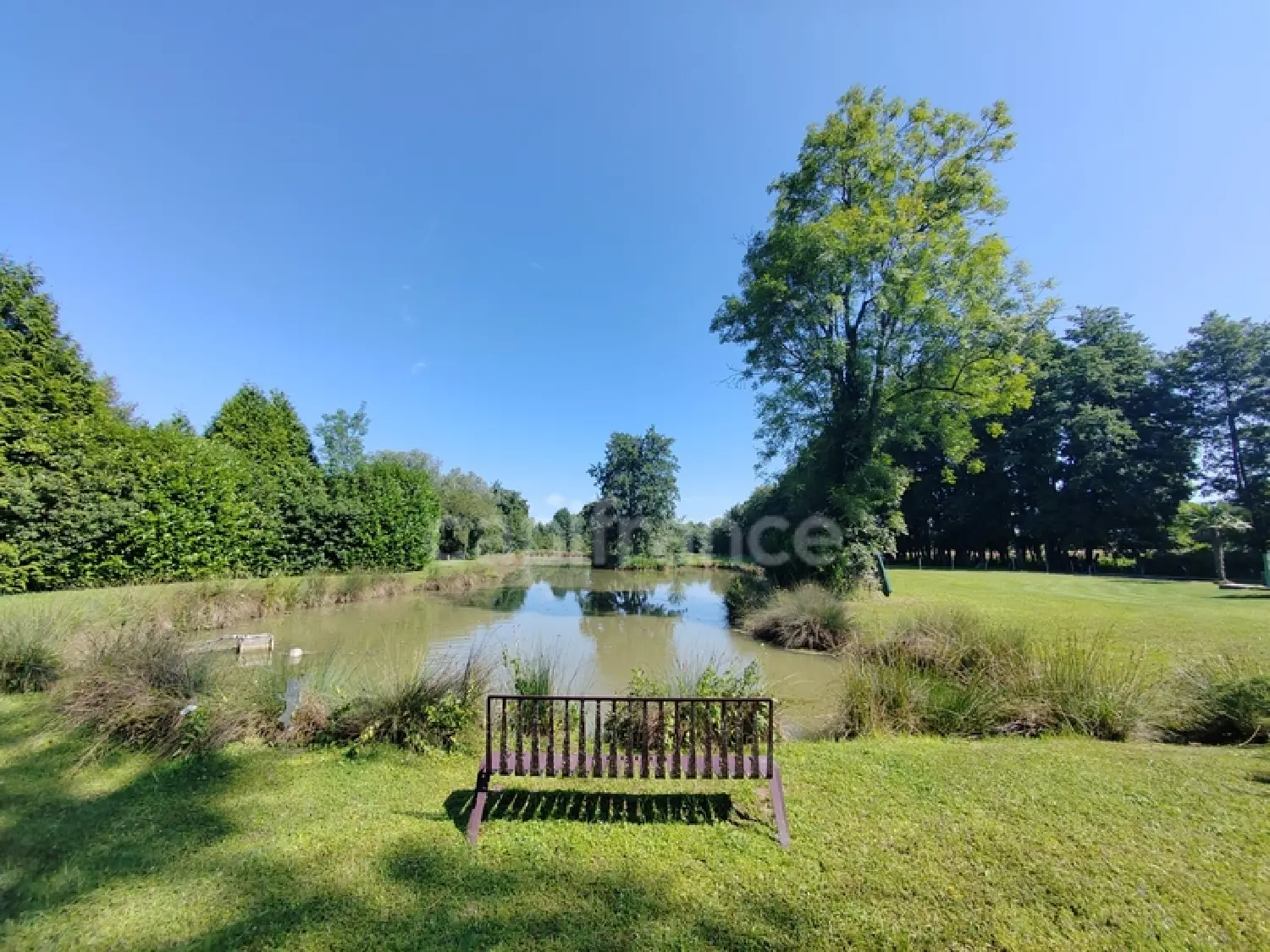  à vendre maison Saillenard Saône-et-Loire 6