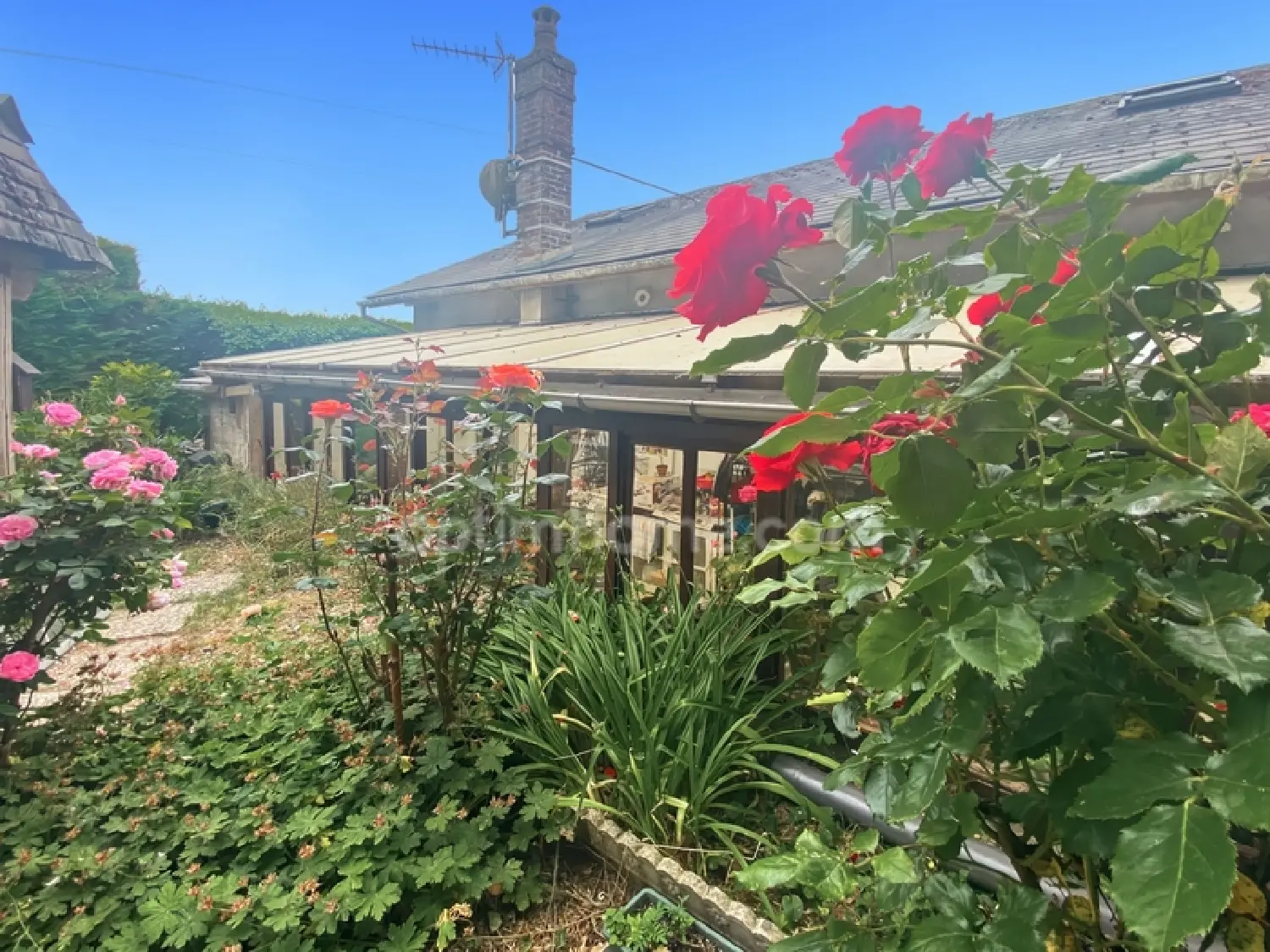 en venta casa Sains-Richaumont Aisne 2