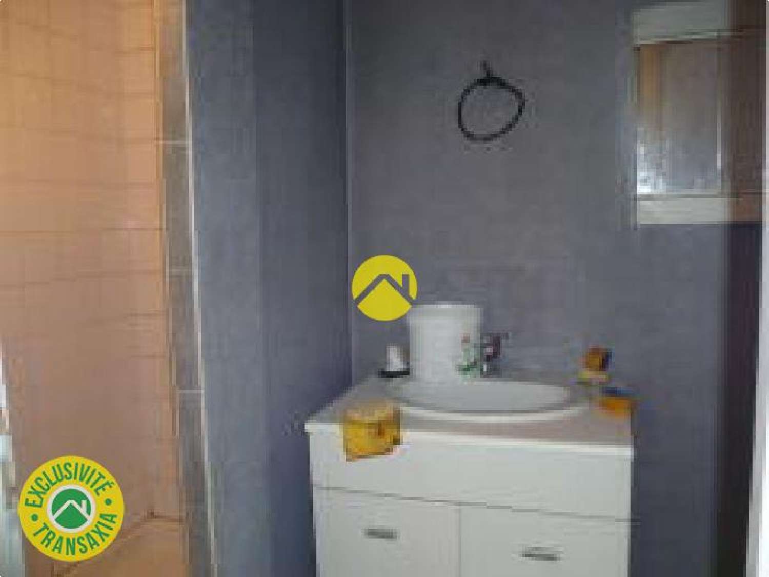  à vendre maison Saint-Amand-Montrond Cher 4