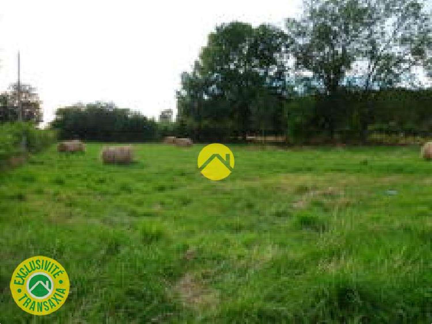  à vendre maison Saint-Amand-Montrond Cher 6