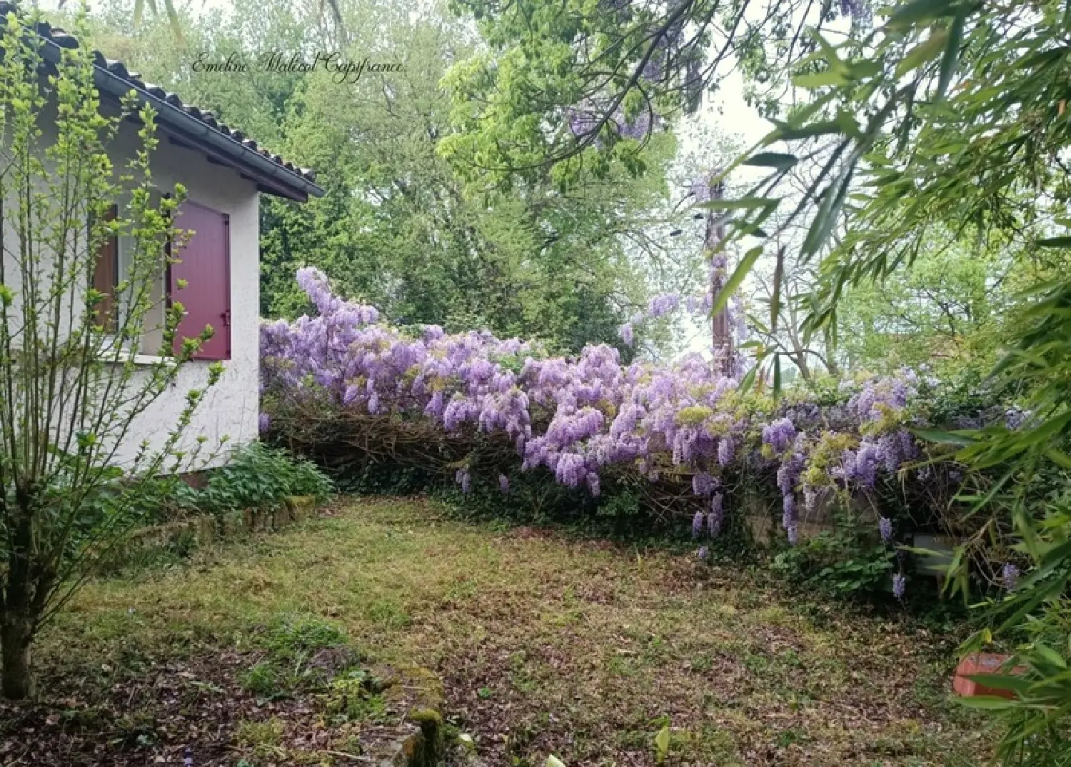  en venta casa Saint-André-de-Cubzac Gironde 5