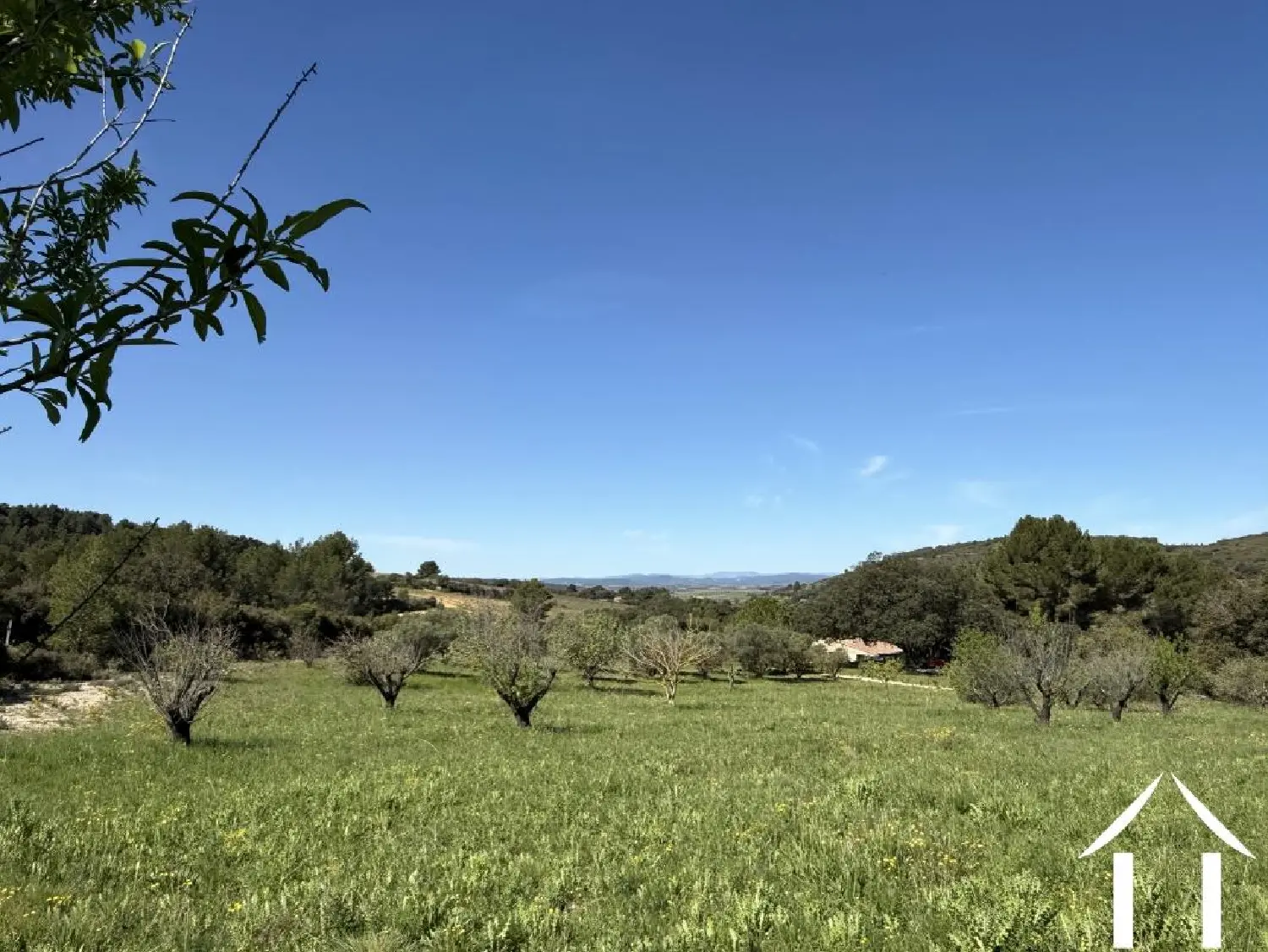  kaufen Haus Saint-Bauzille-de-la-Sylve Hérault 1
