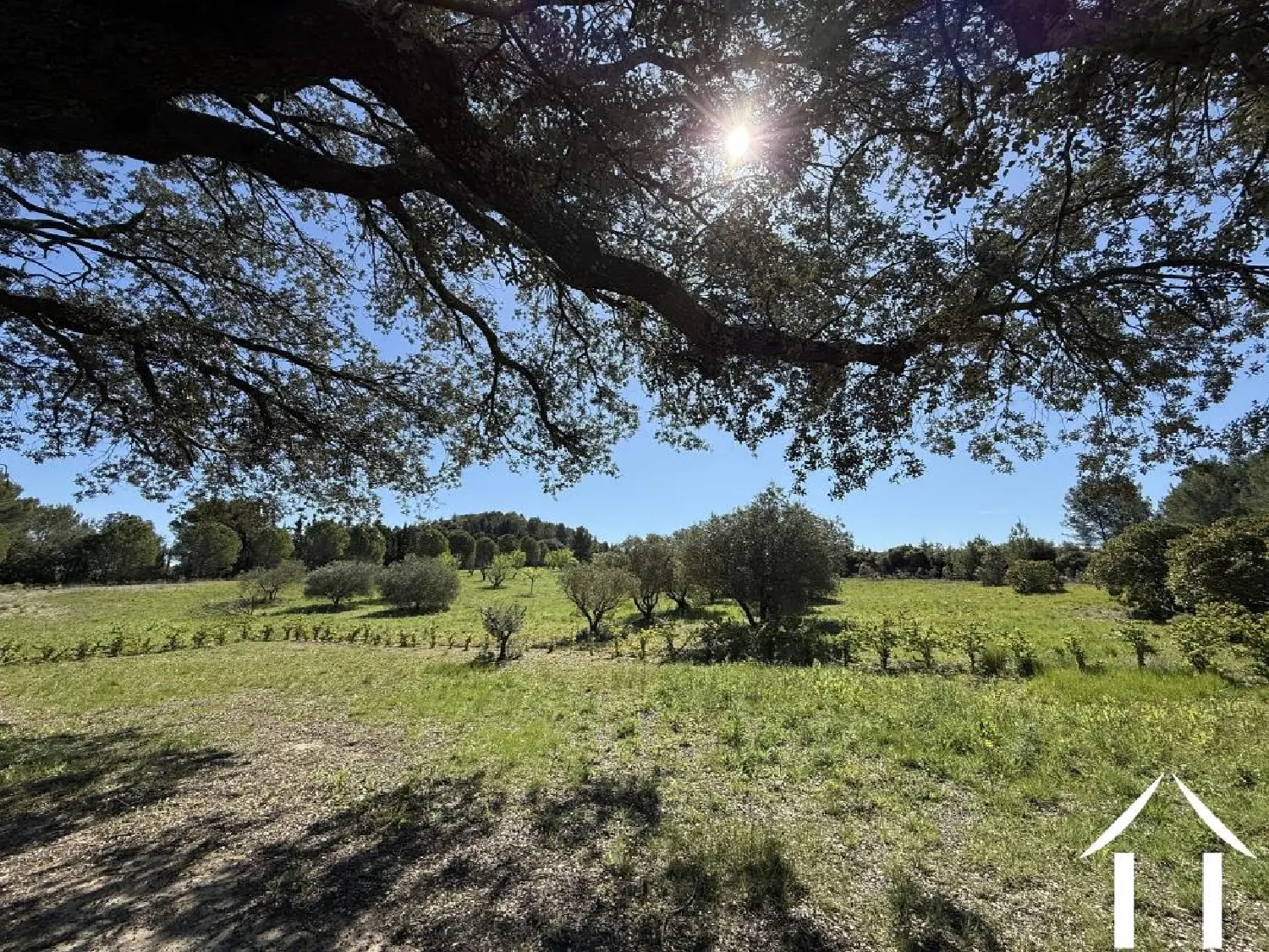  kaufen Haus Saint-Bauzille-de-la-Sylve Hérault 2