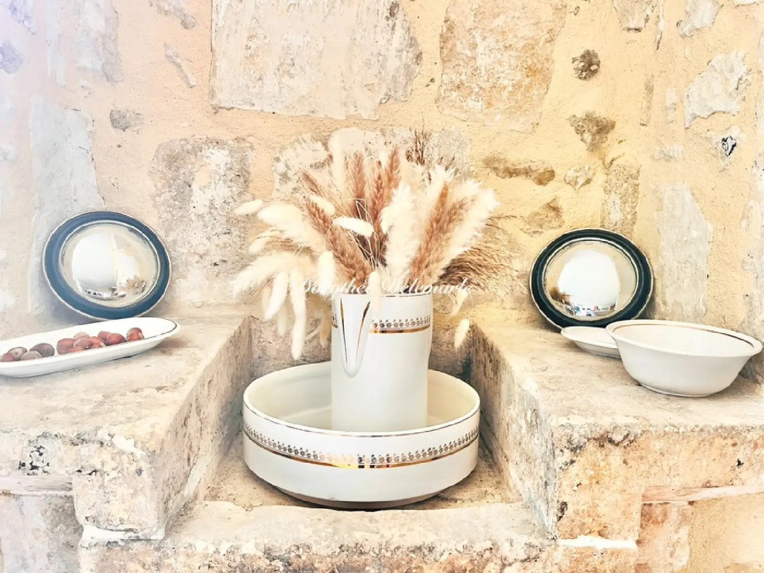  te koop huis Saint-Ciers-du-Taillon Charente-Maritime 7