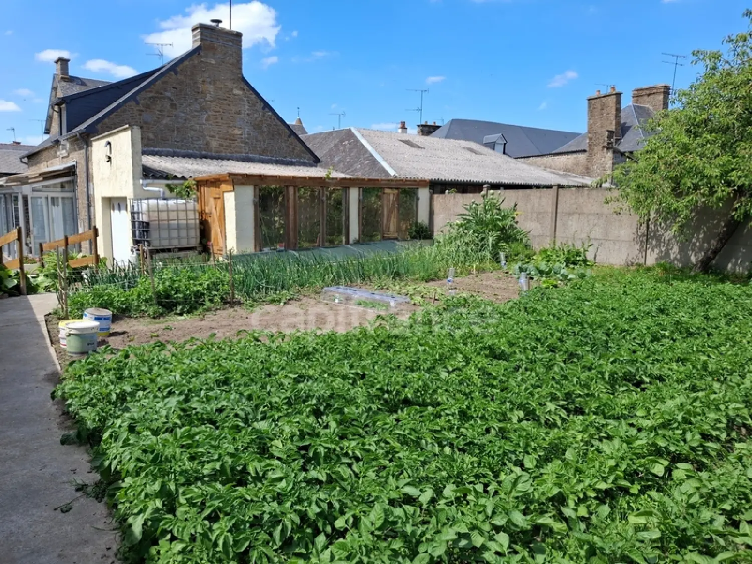  en venta casa Saint-Georges-de-Reintembault Ille-et-Vilaine 8