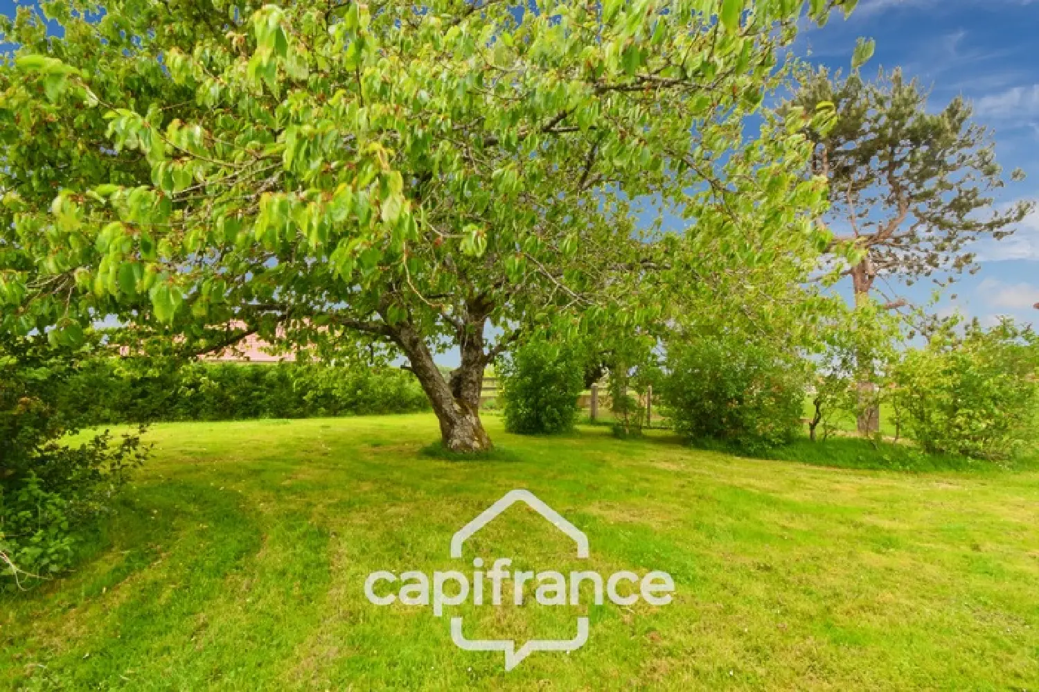  for sale house Saint-Germain-du-Bois Saône-et-Loire 5