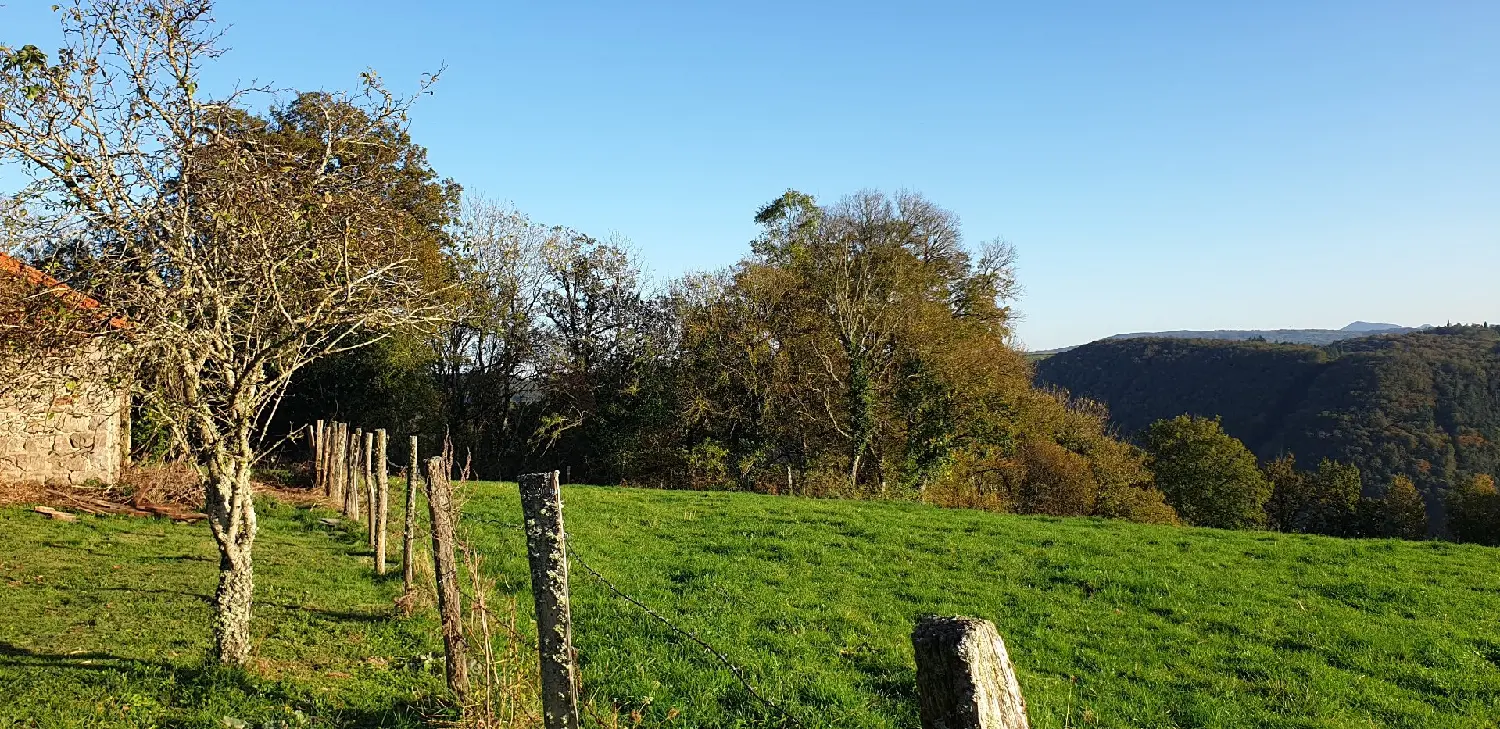  à vendre maison Saint-Gervais-d'Auvergne Puy-de-Dôme 8