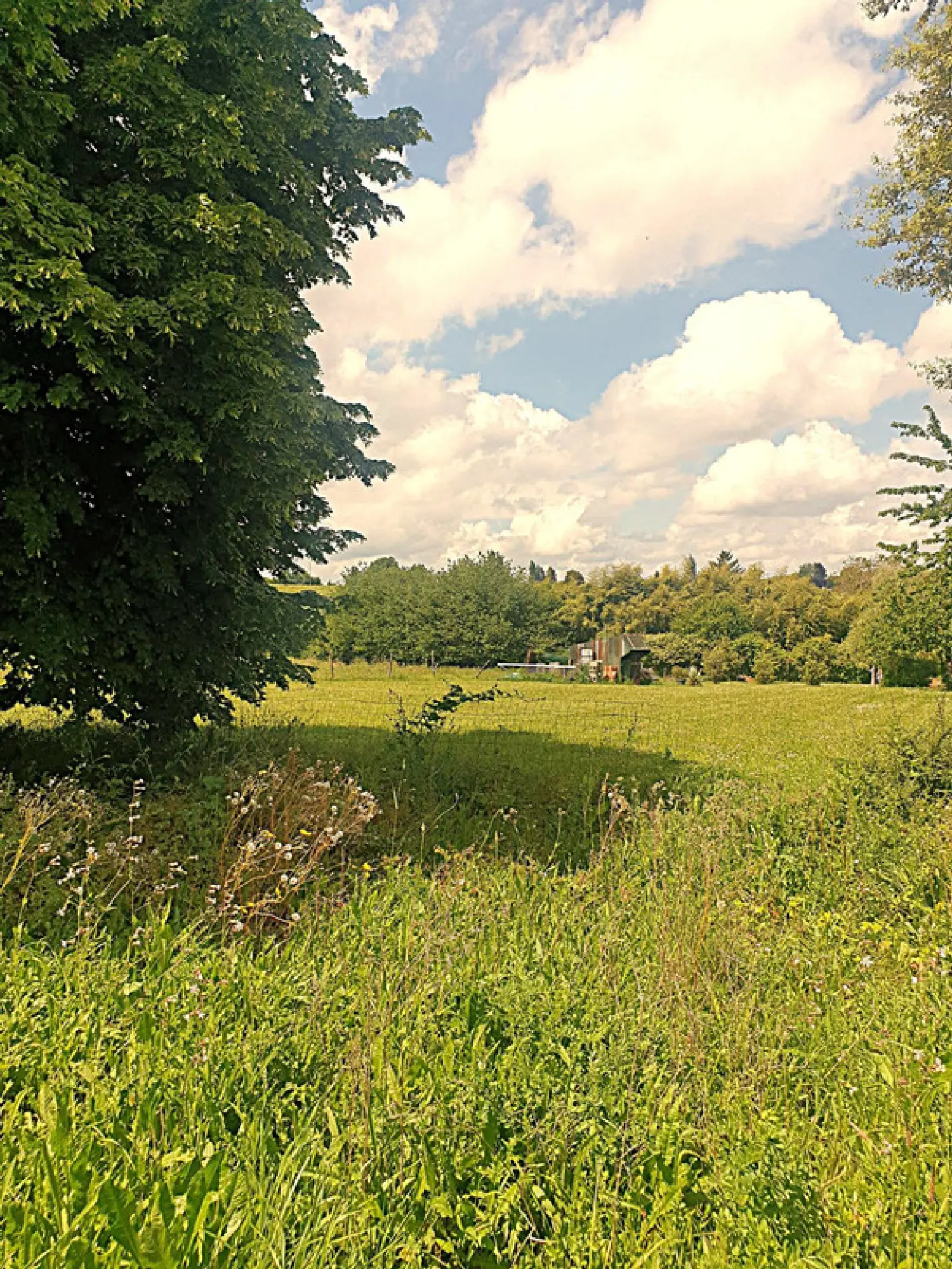  for sale house Saint-Hilaire Charente 8