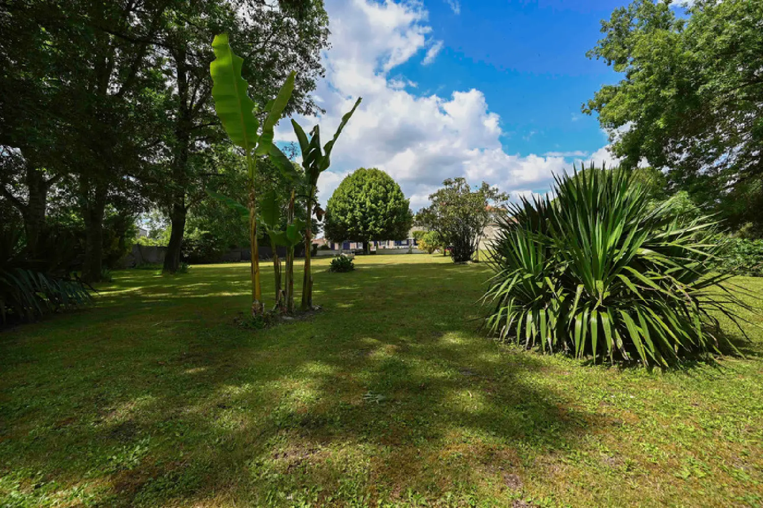  à vendre maison Saint-Jean-d'Angély Charente-Maritime 3