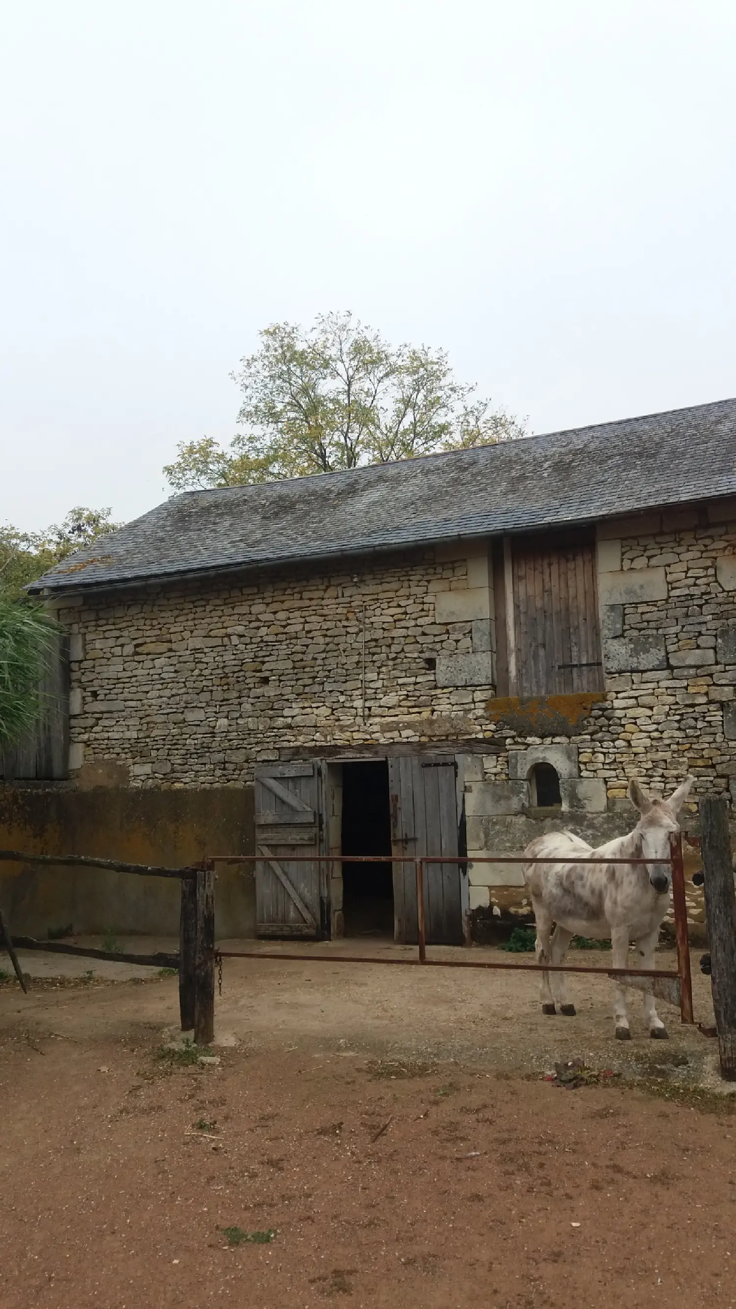  en venta casa Saint-Jean-de-Sauves Vienne 1