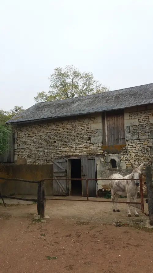 Saint-Jean-de-Sauves Vienne casa foto 7102572