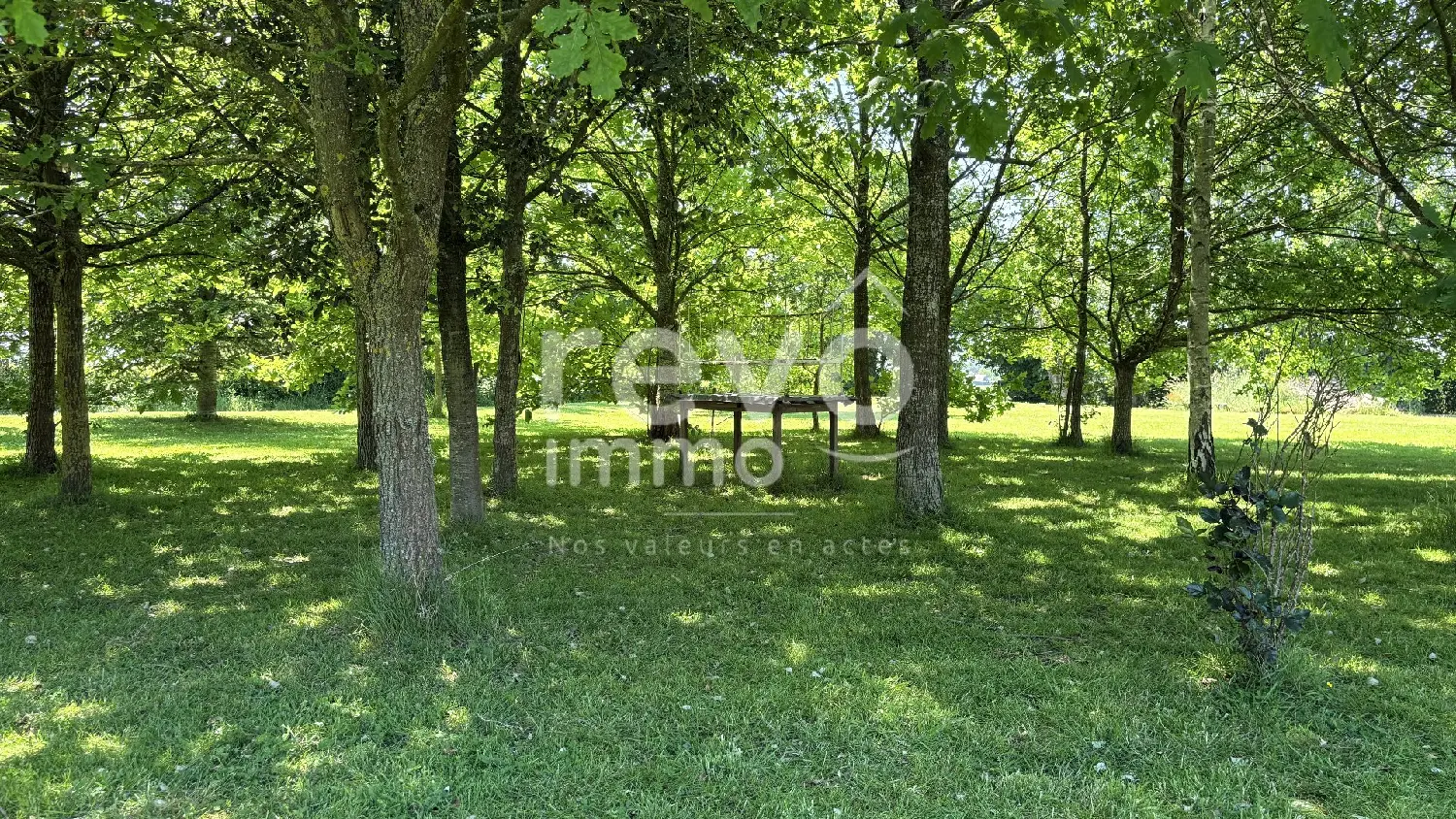  en venta casa Saint-Lambert-du-Lattay Maine-et-Loire 5