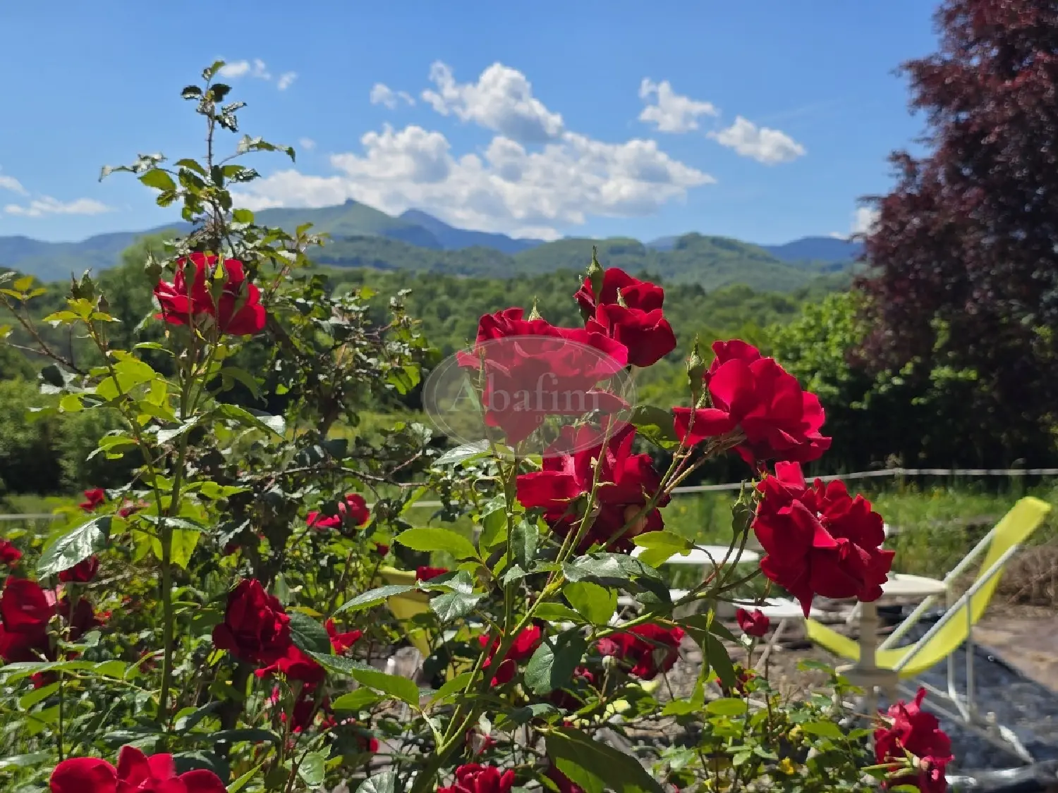  à vendre maison Saint-Laurent-de-Neste Hautes-Pyrénées 2